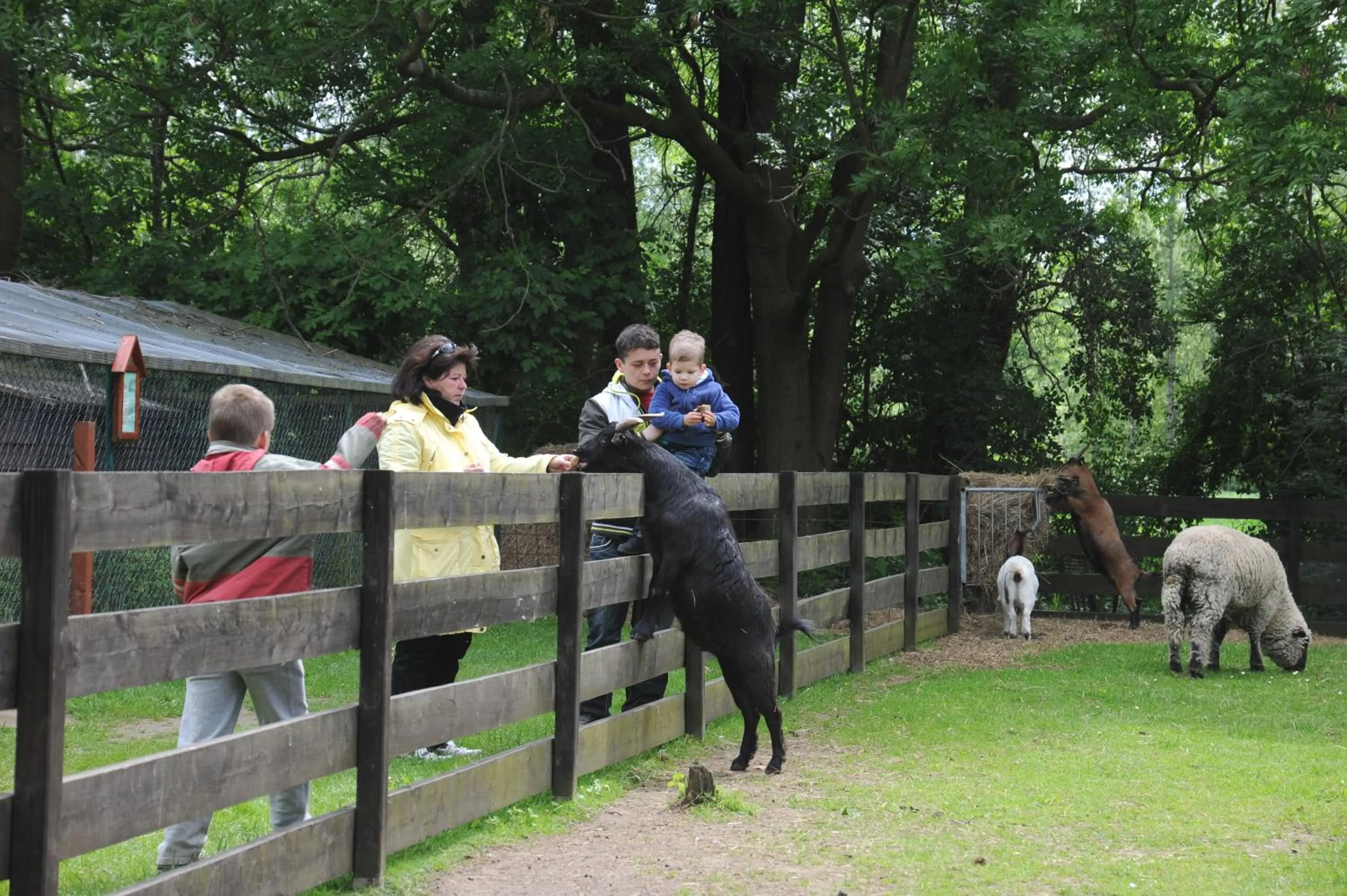 Garden in Landhotel Burg im Spreewald - Resort & Spa