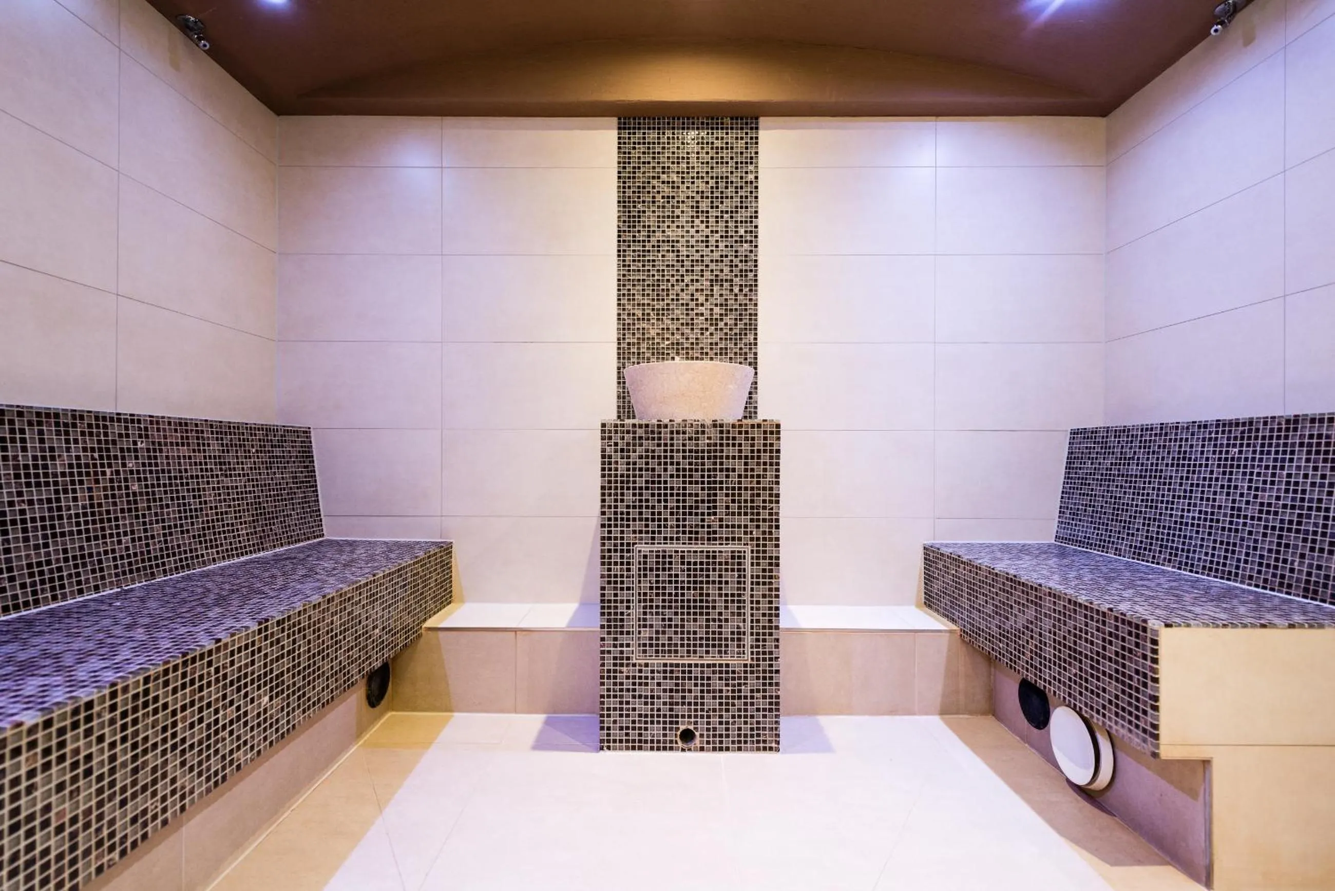 Steam room in Landhotel Burg im Spreewald - Resort & Spa