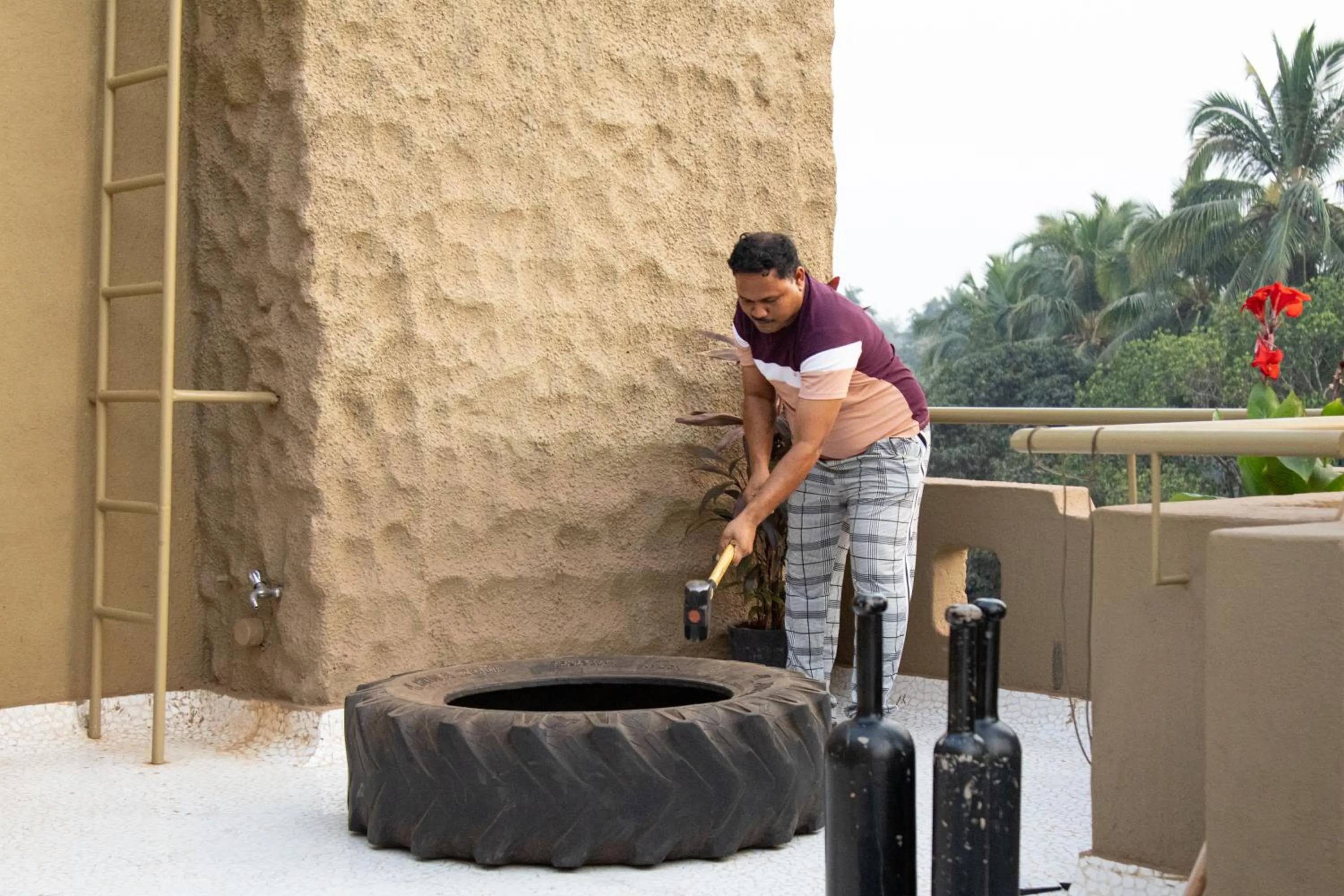 Activities in 3102bce - A Vedic Resort