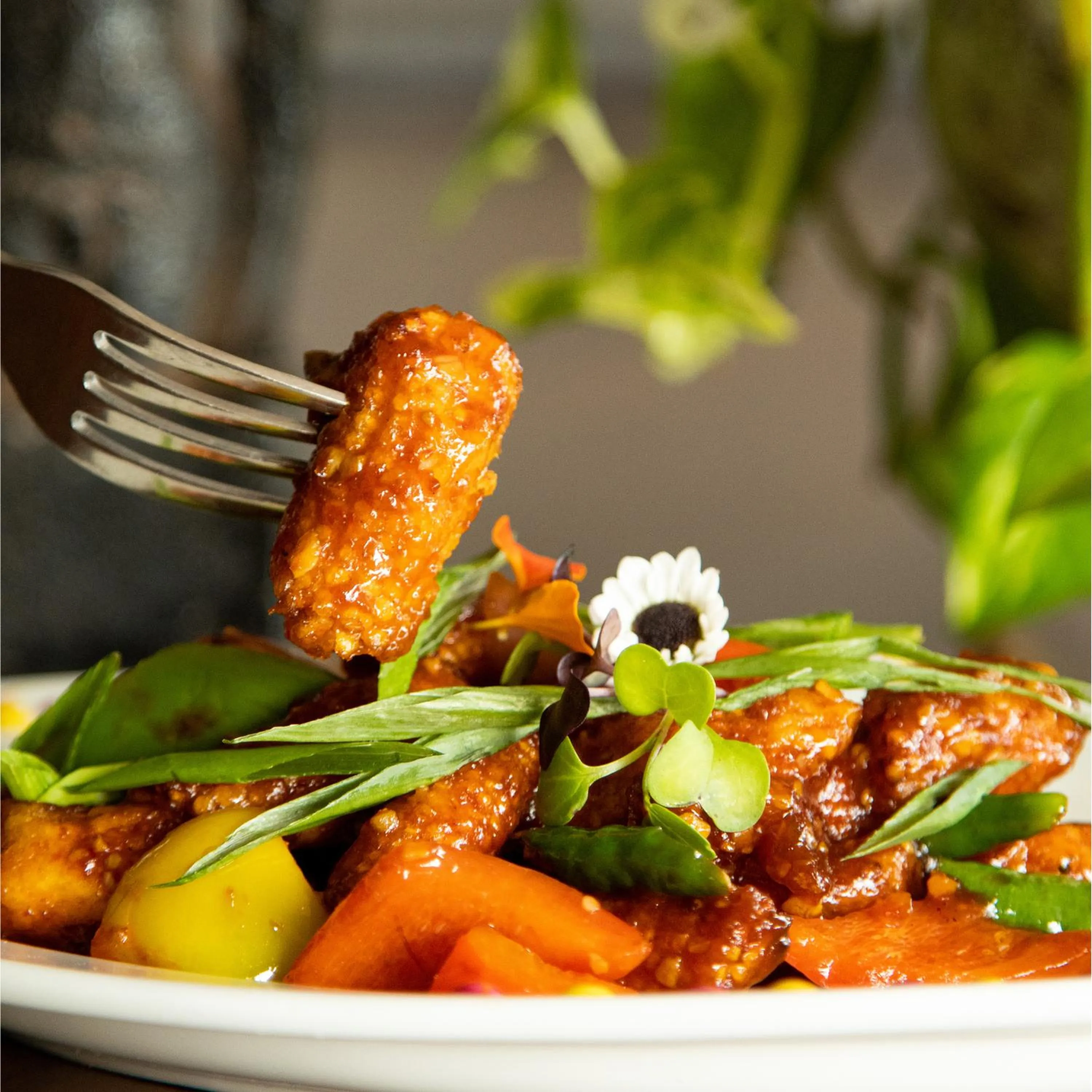 Restaurant/places to eat in 3102bce - A Vedic Resort