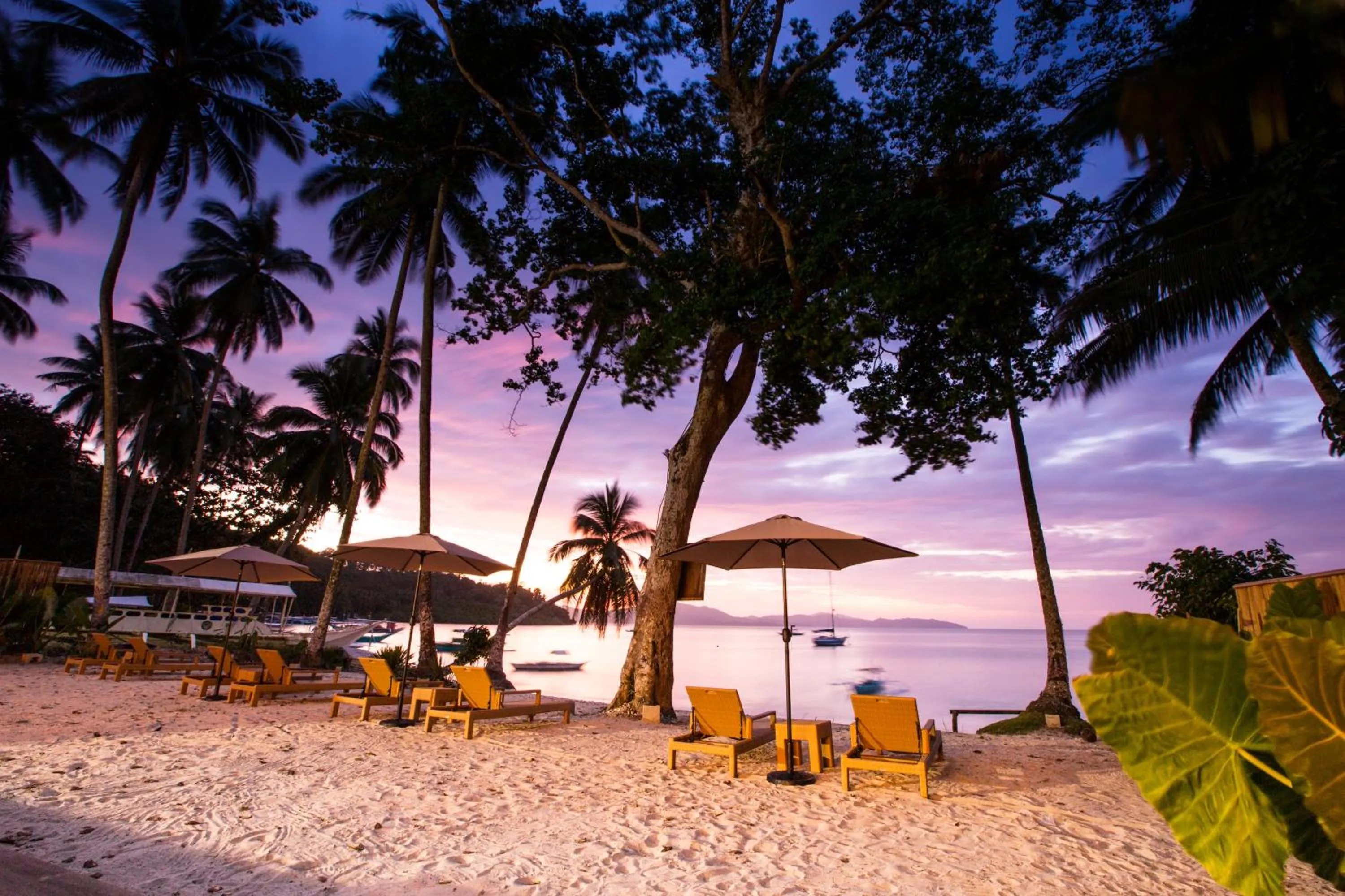 Holiday Suites Port Barton