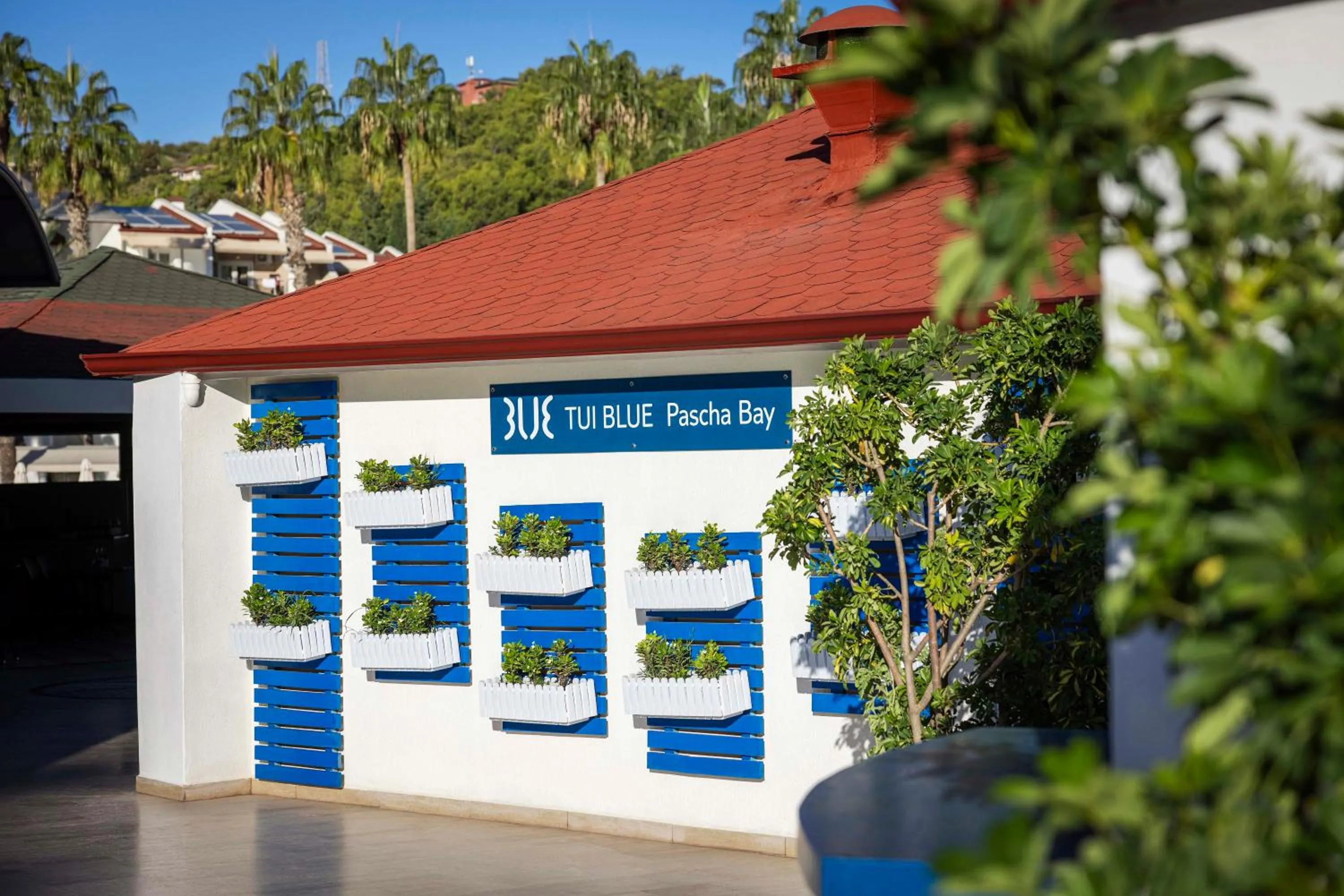 Property building in TUI BLUE Pascha Bay