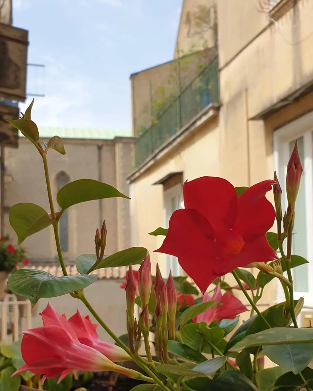 Balcony/Terrace in Santa Chiara Inn