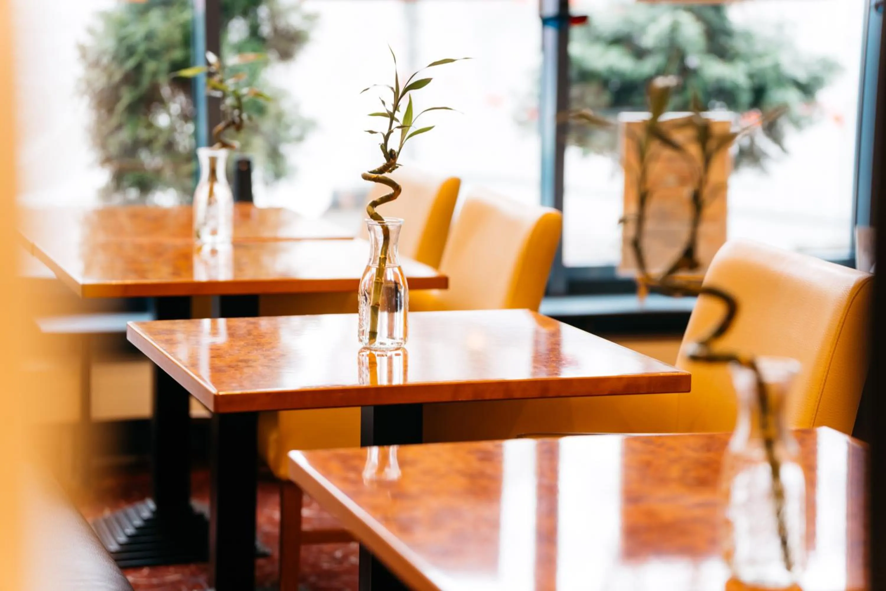 Seating area in City Park Hotel
