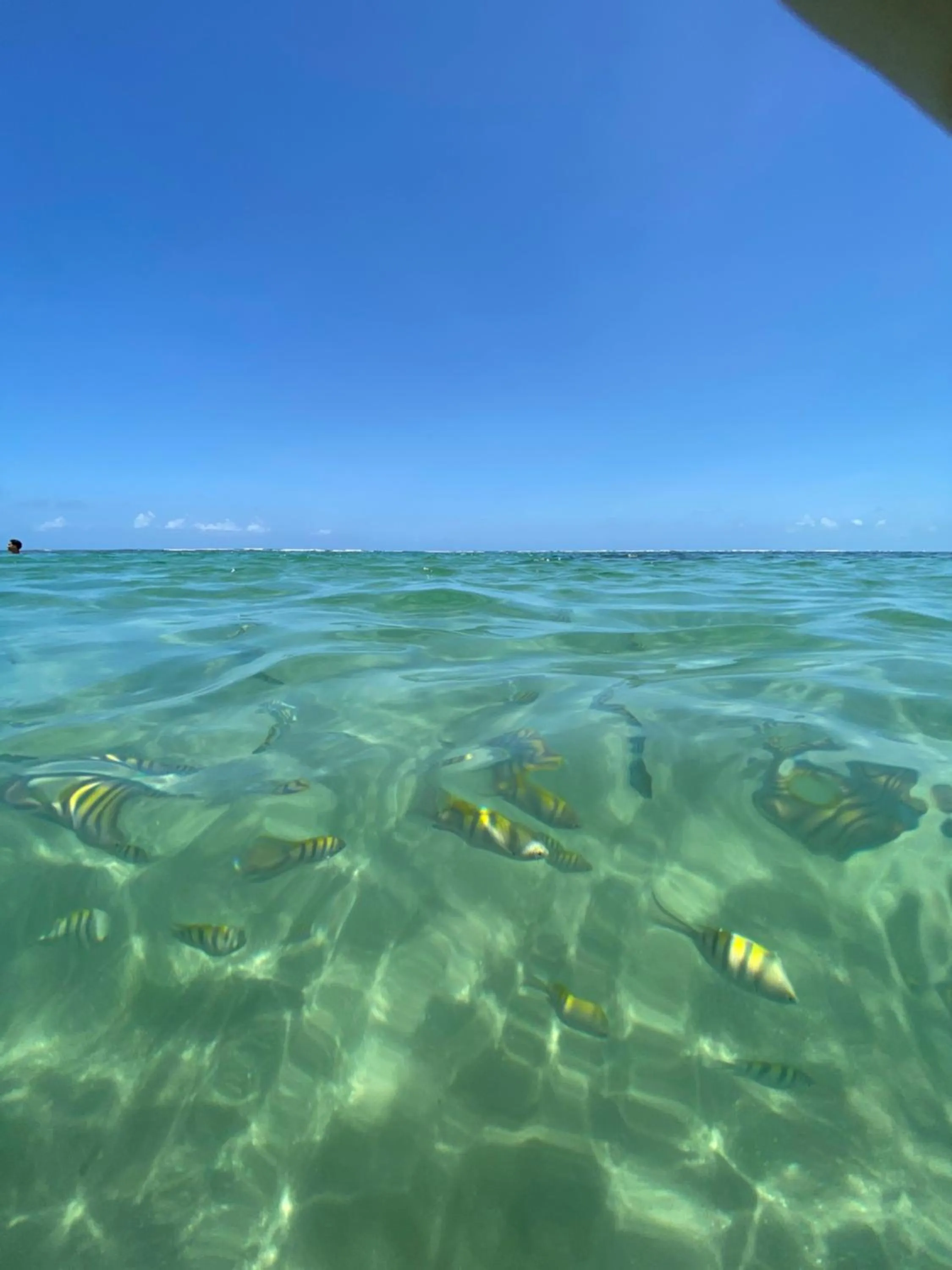 Natural landscape in Pousada Nativo
