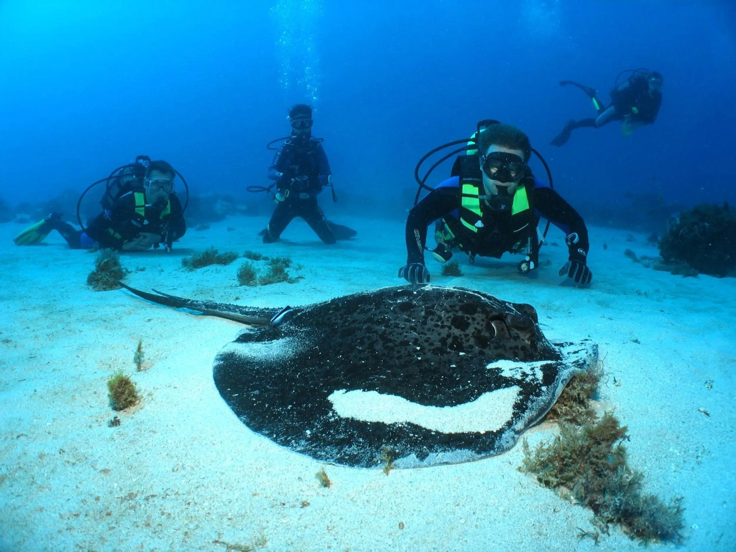 Diving in La Pirogue Mauritius