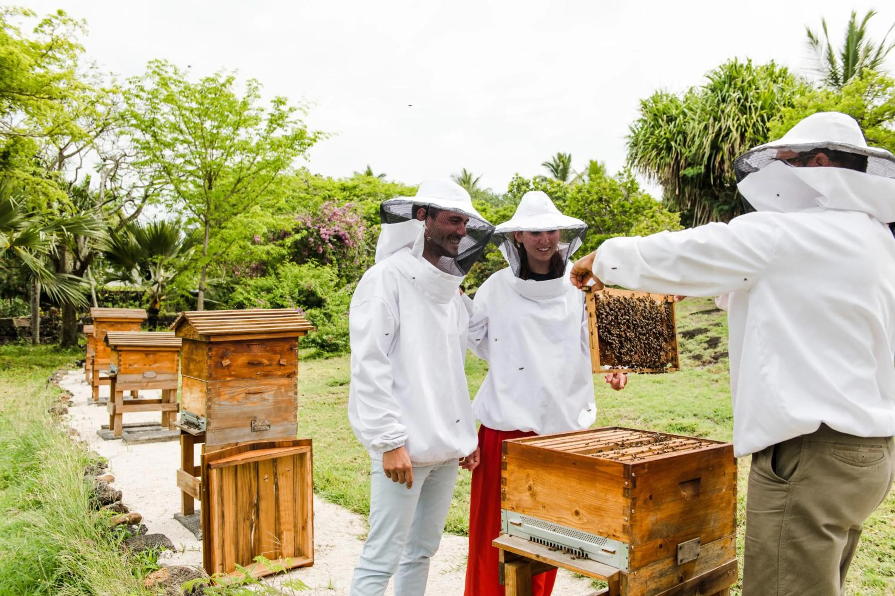 Activities in Shangri-La Le Touessrok, Mauritius