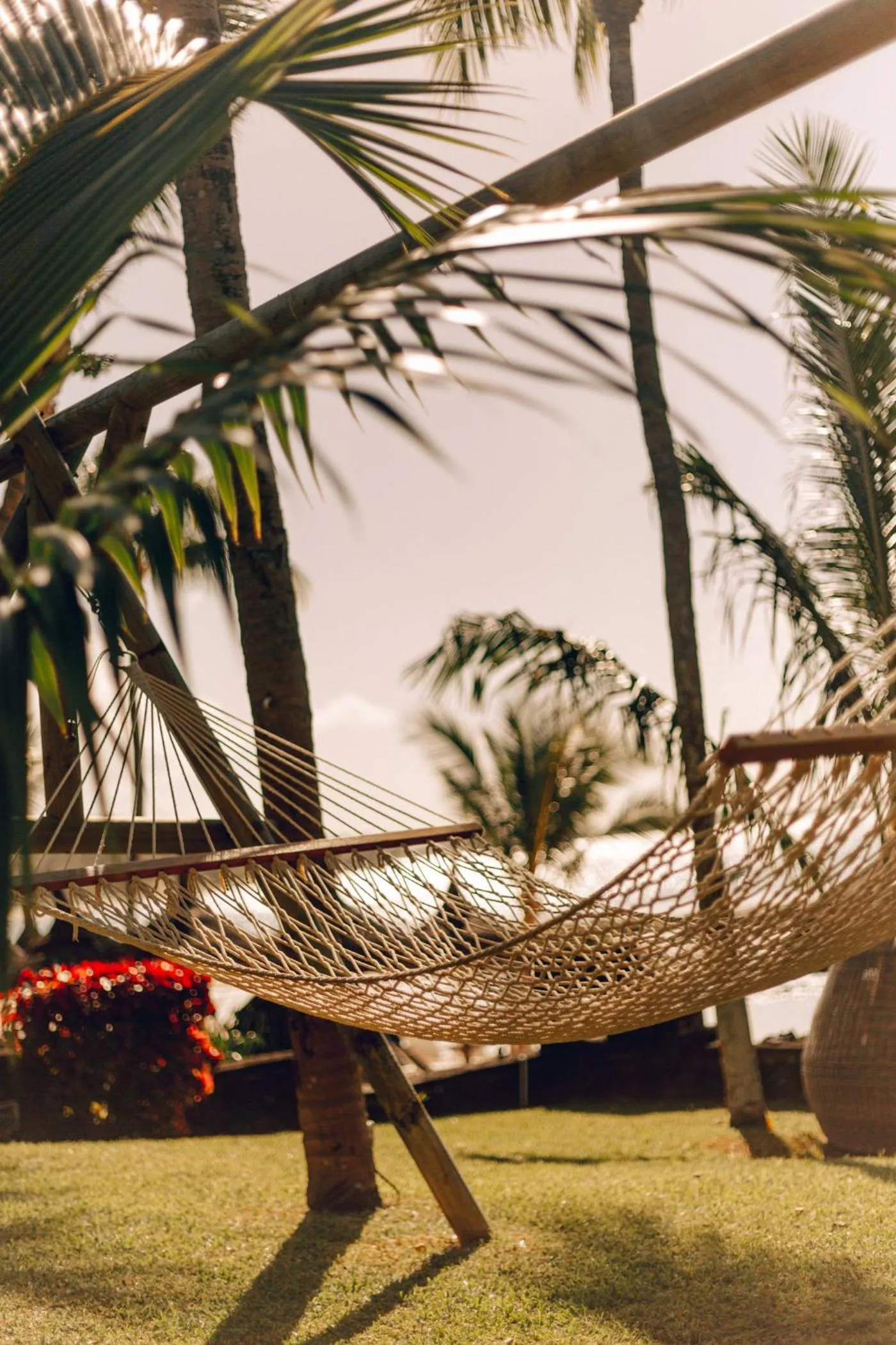 Garden in Ambre - Adults only