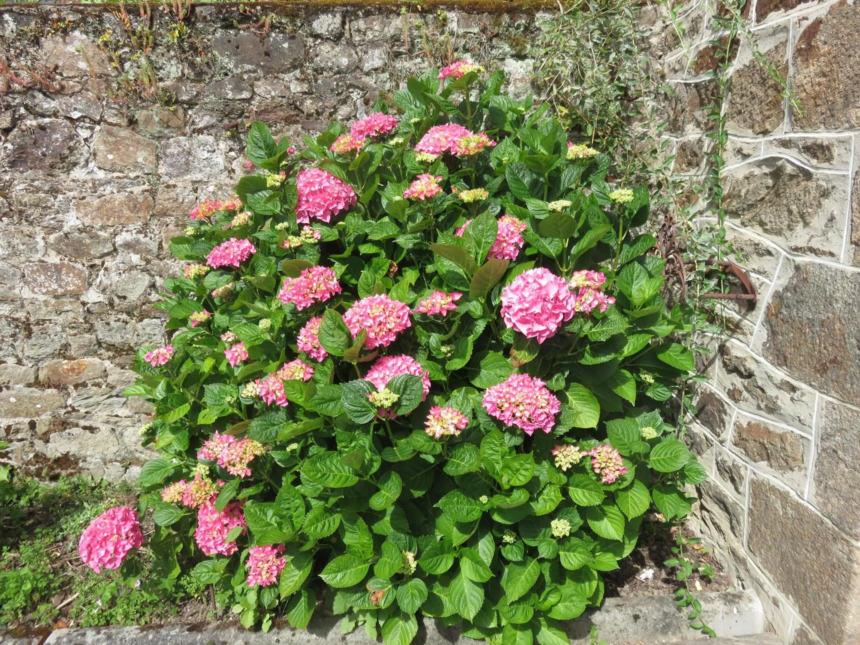 Le Jardin à Mordreuc