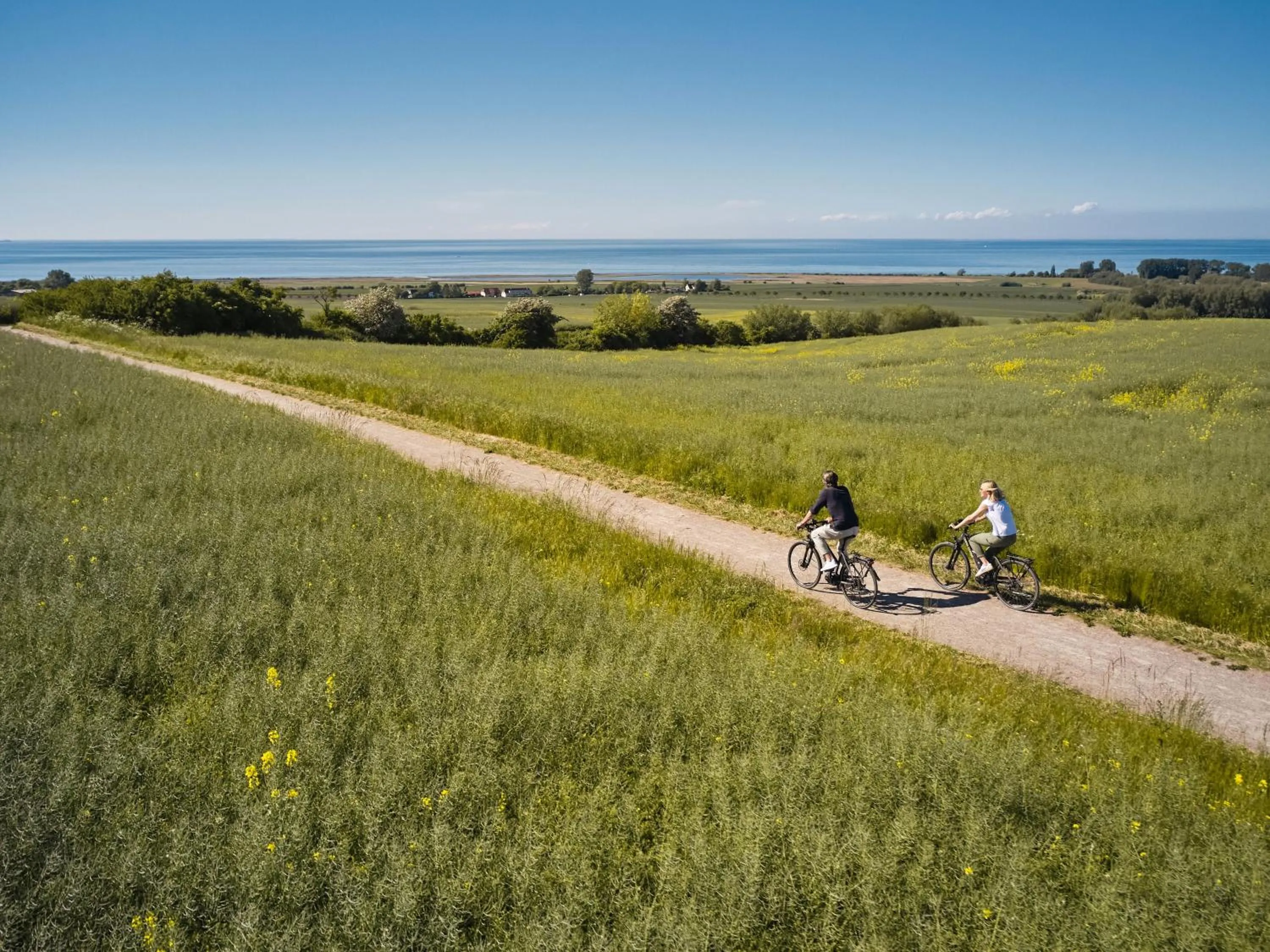 Natural landscape in A-ROSA Ostseehotel Kühlungsborn