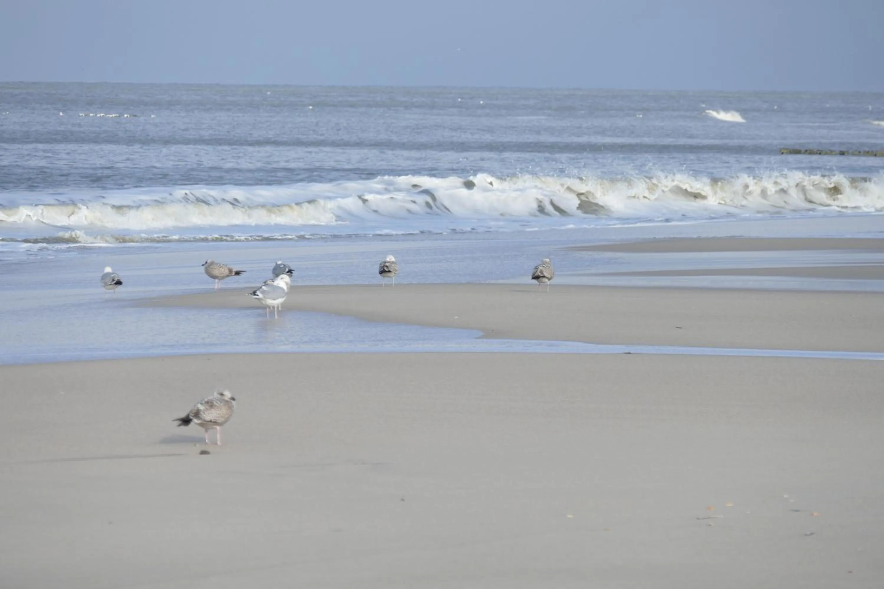 Natural landscape in Hotel Wünschmann
