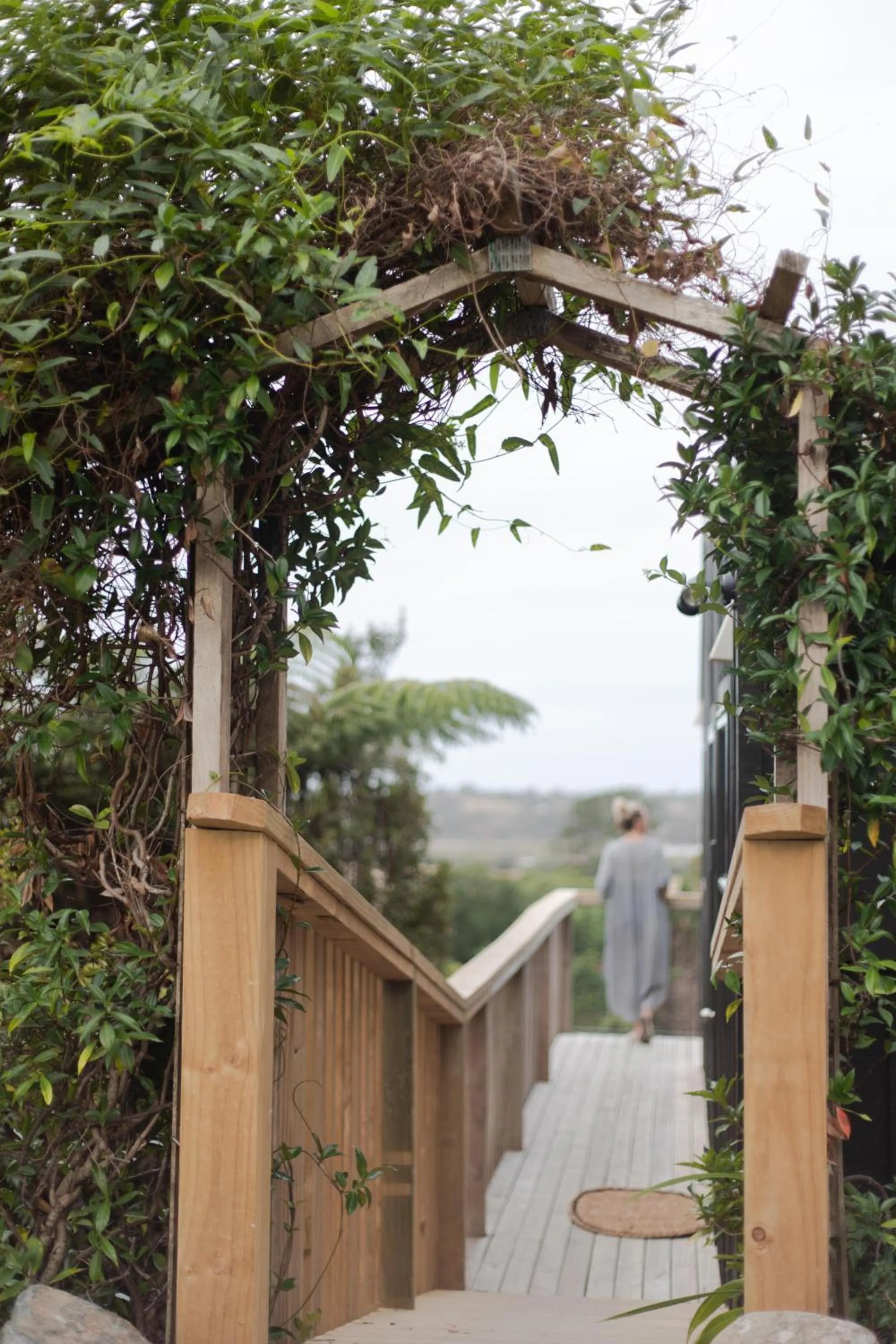 Natural landscape in Tui & Nikau Cabins