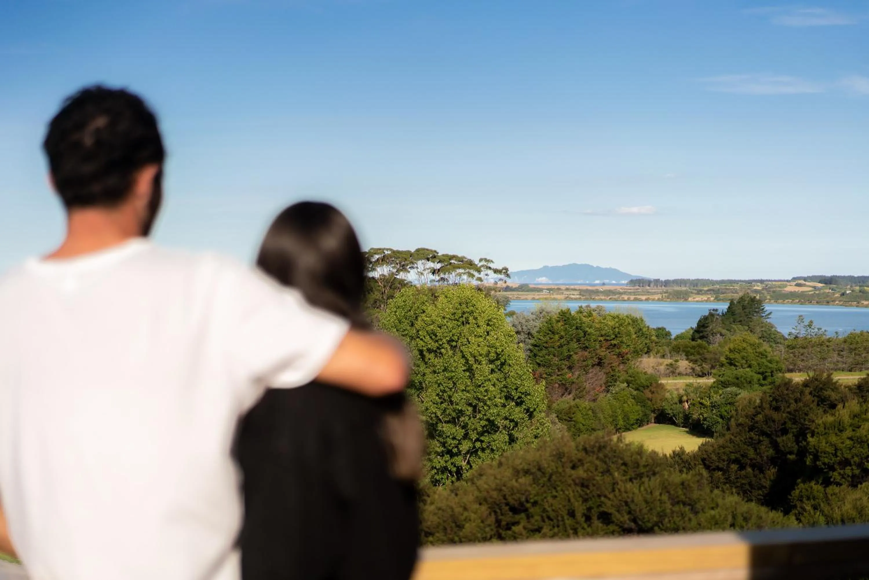 Natural landscape in Tui & Nikau Cabins