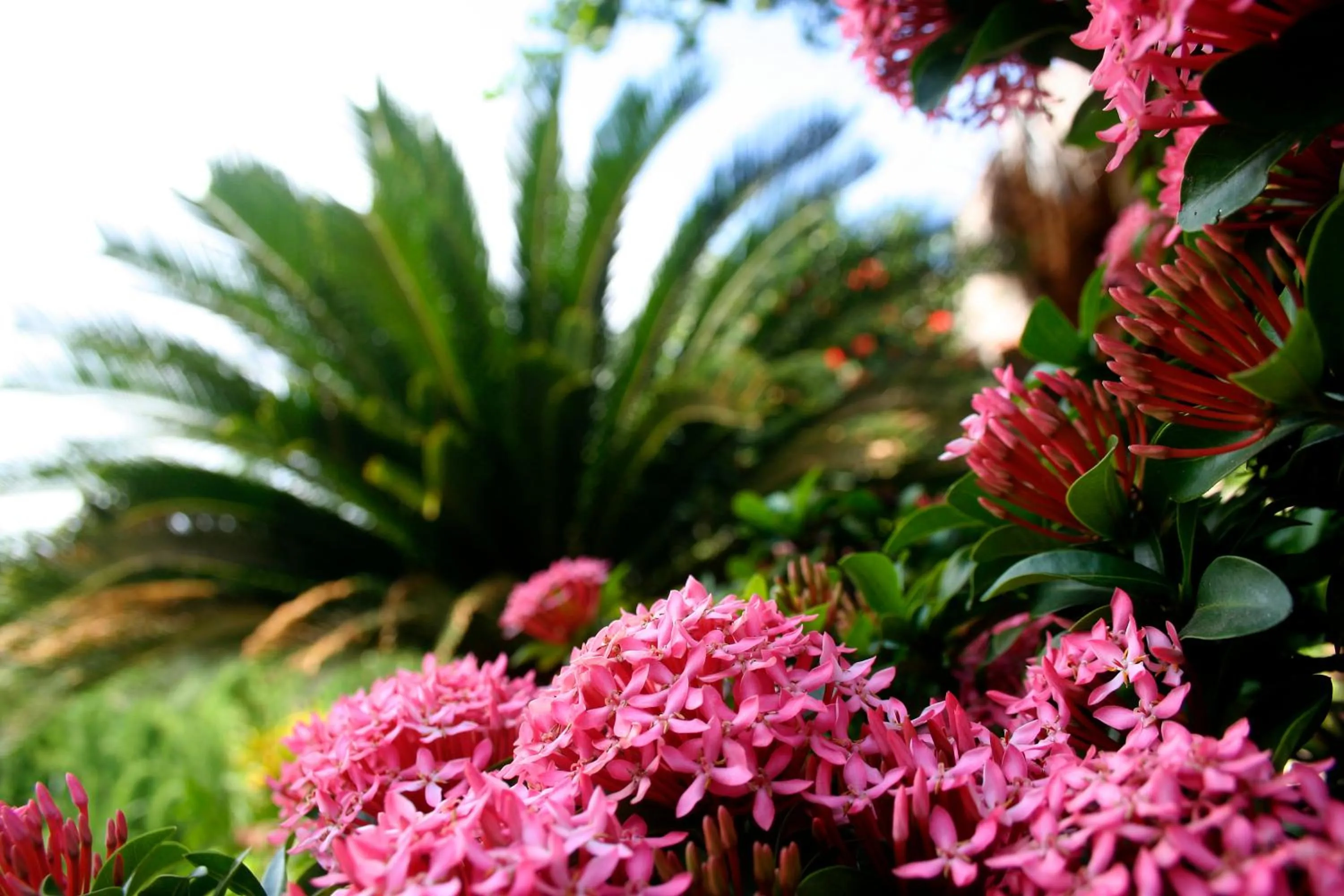 Other in Villa Escondida