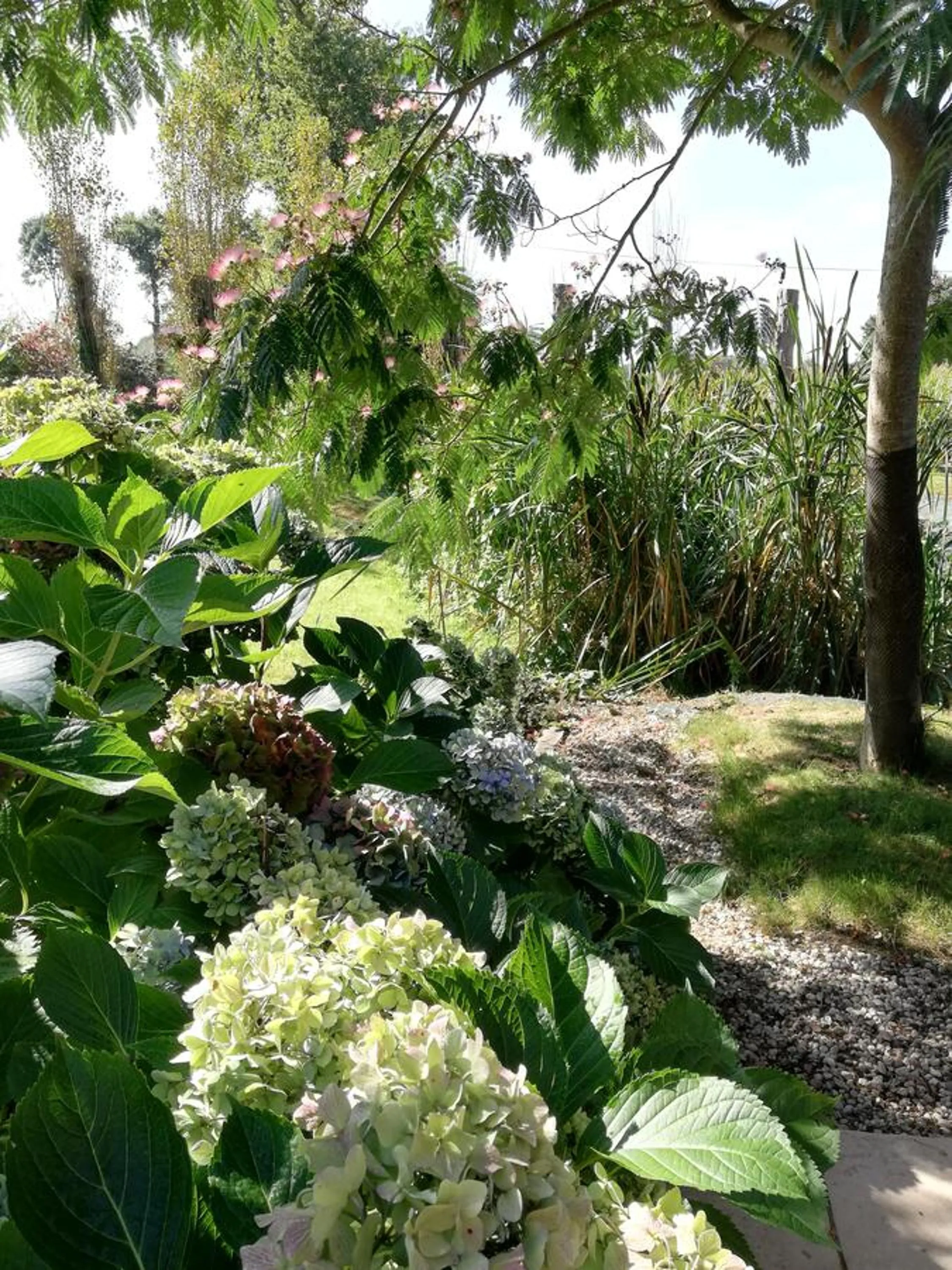 Garden in Les Petites Chapelles