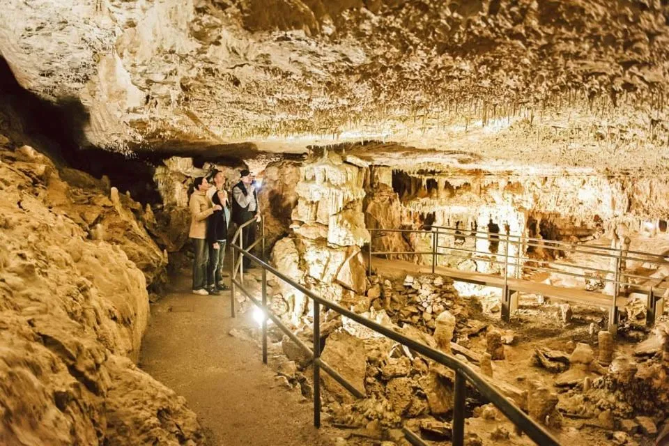 Activities in Hotel Gasthof Zum Löwen
