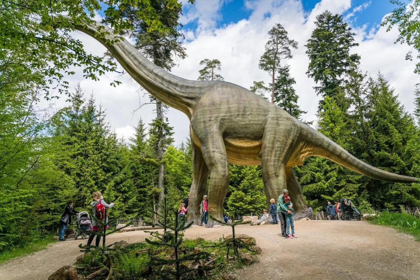 Activities in Hotel Gasthof Zum Löwen