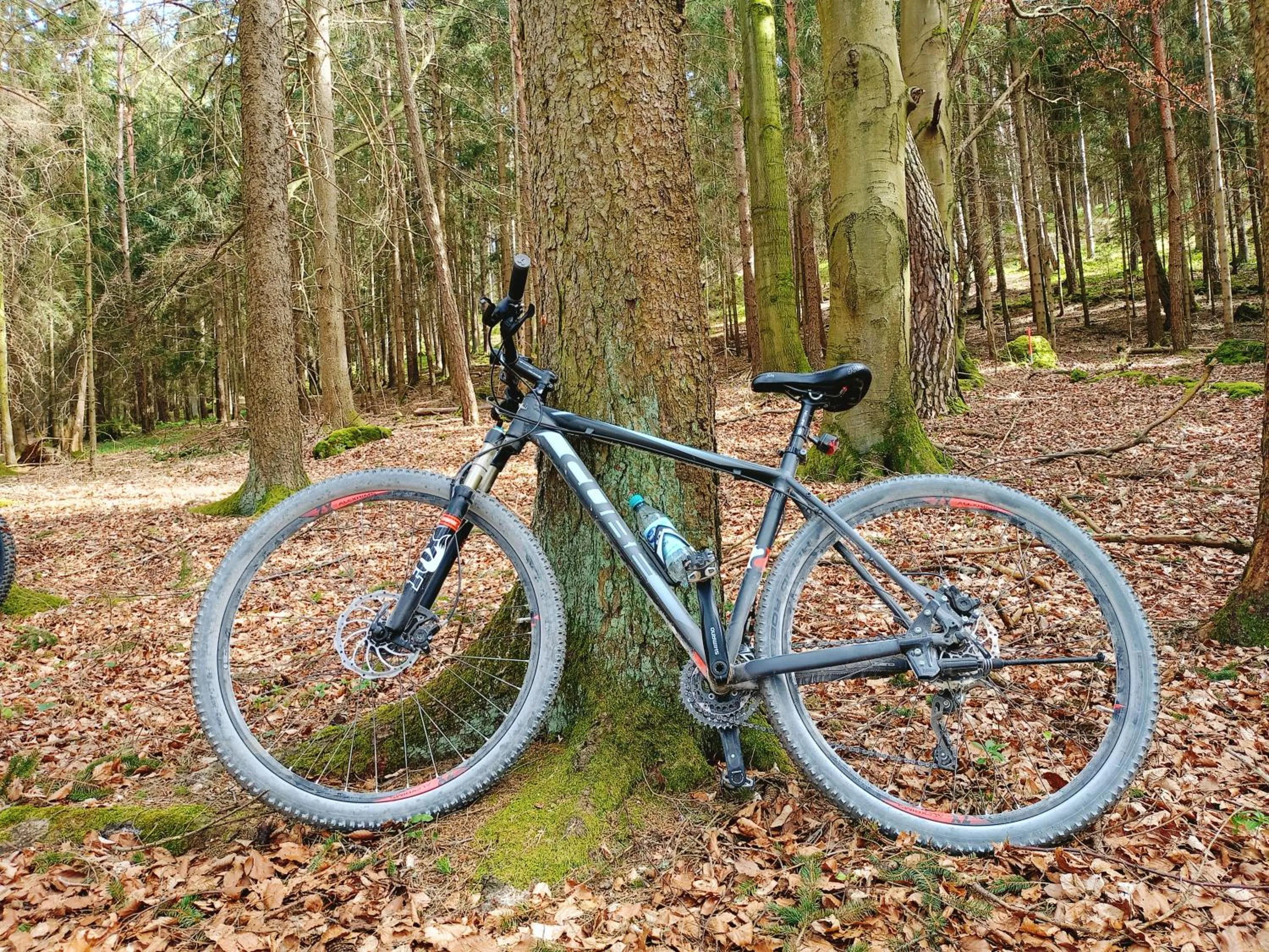 Cycling in Hotel Gasthof Zum Löwen