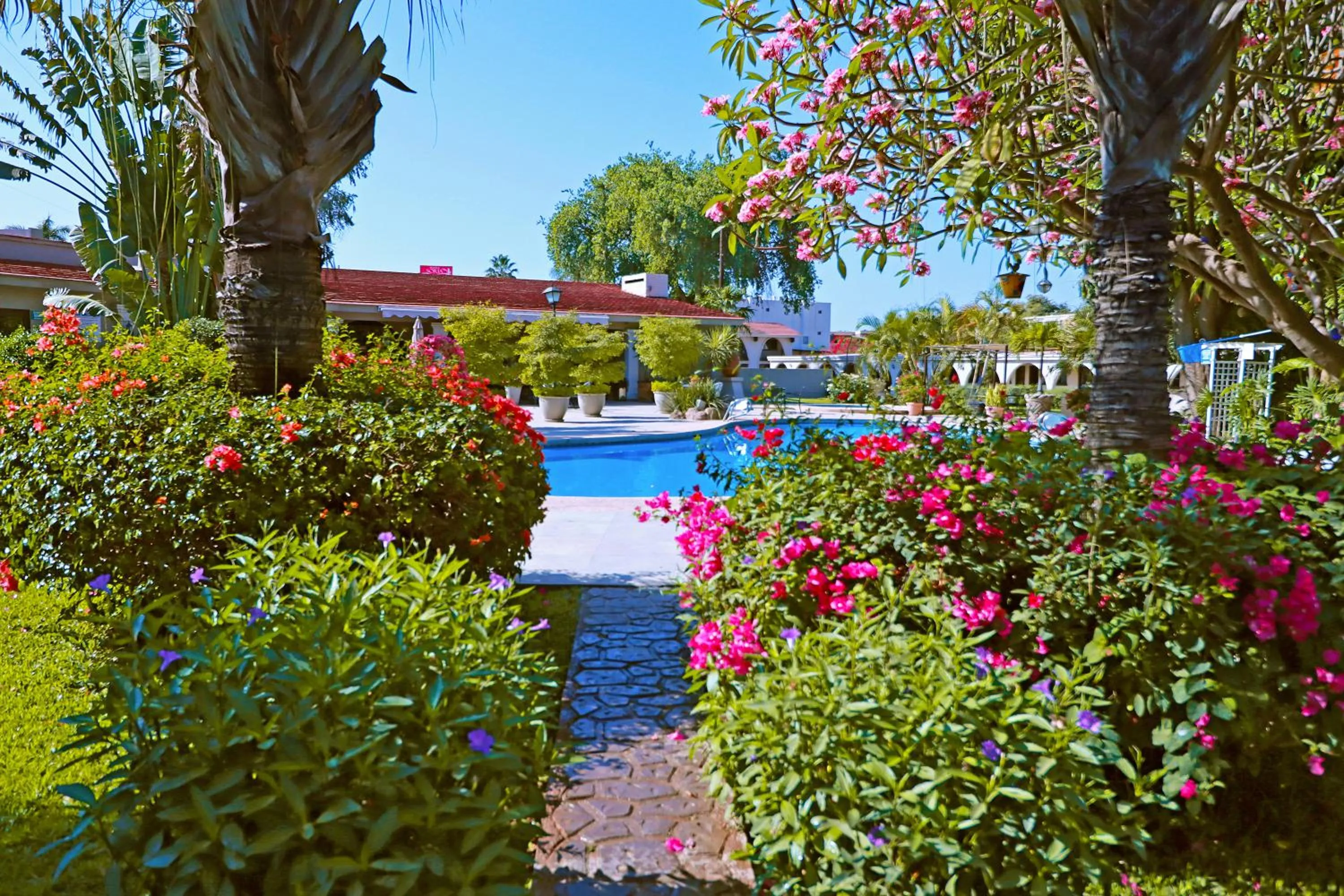 Garden in Hotel Del Rio