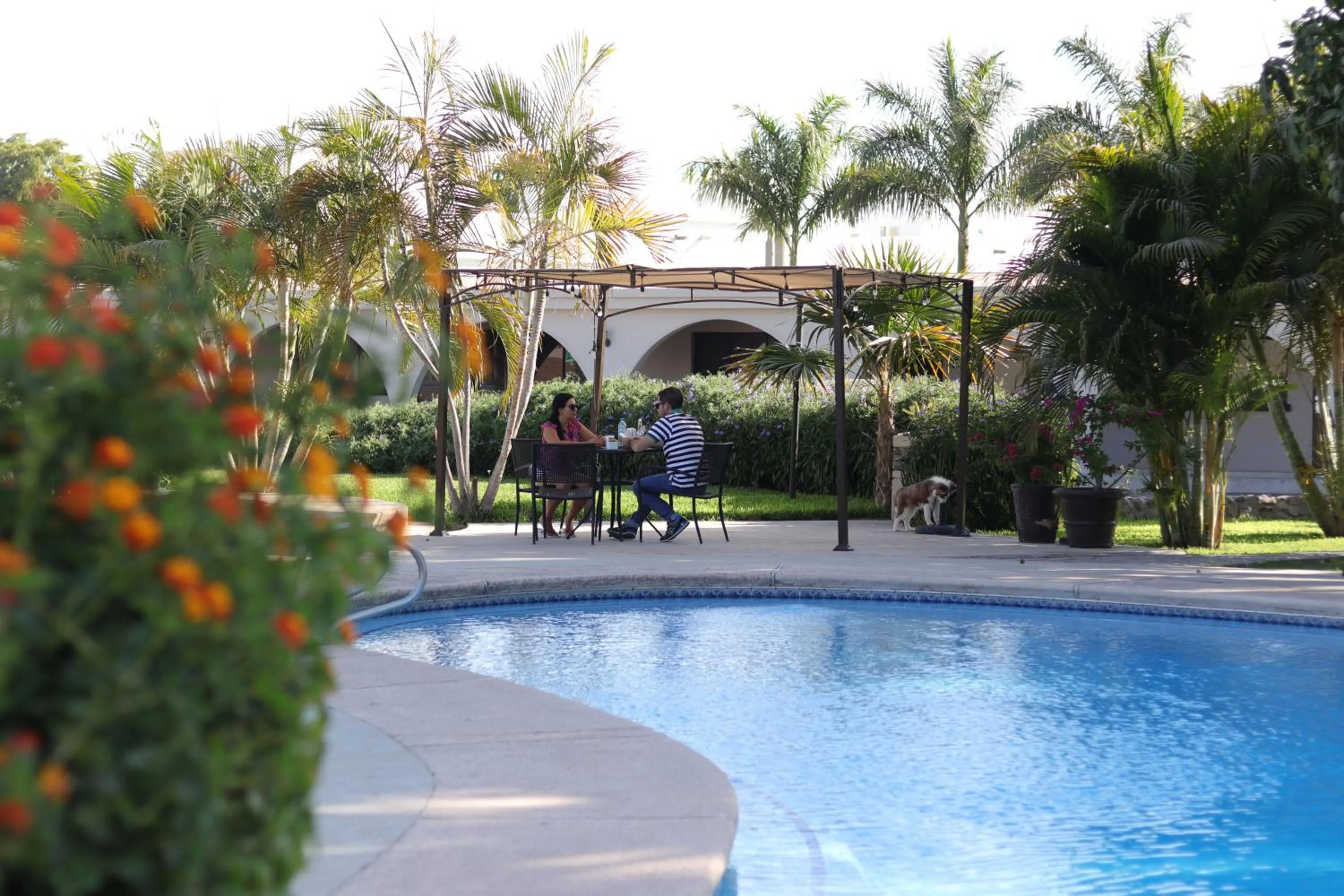 Property building in Hotel Del Rio