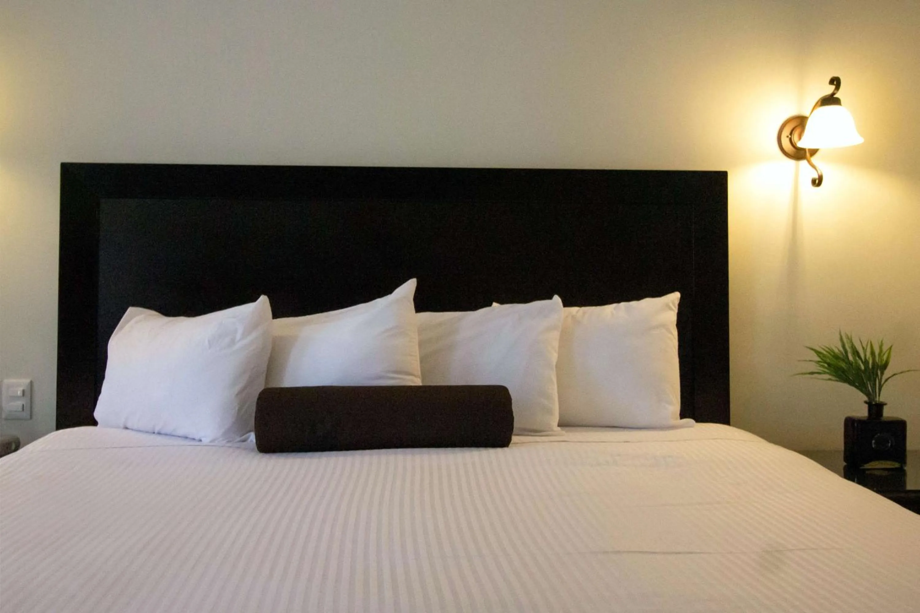 Photo of the whole room, Bed in Hotel Del Rio