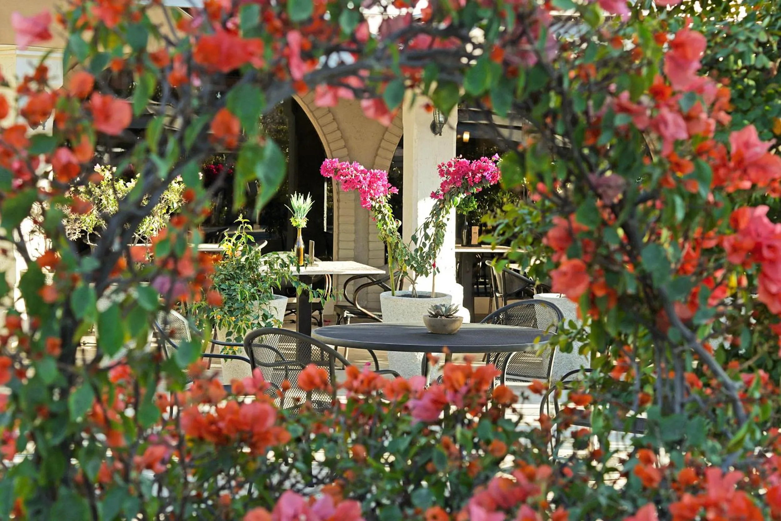 Patio in Hotel Del Rio
