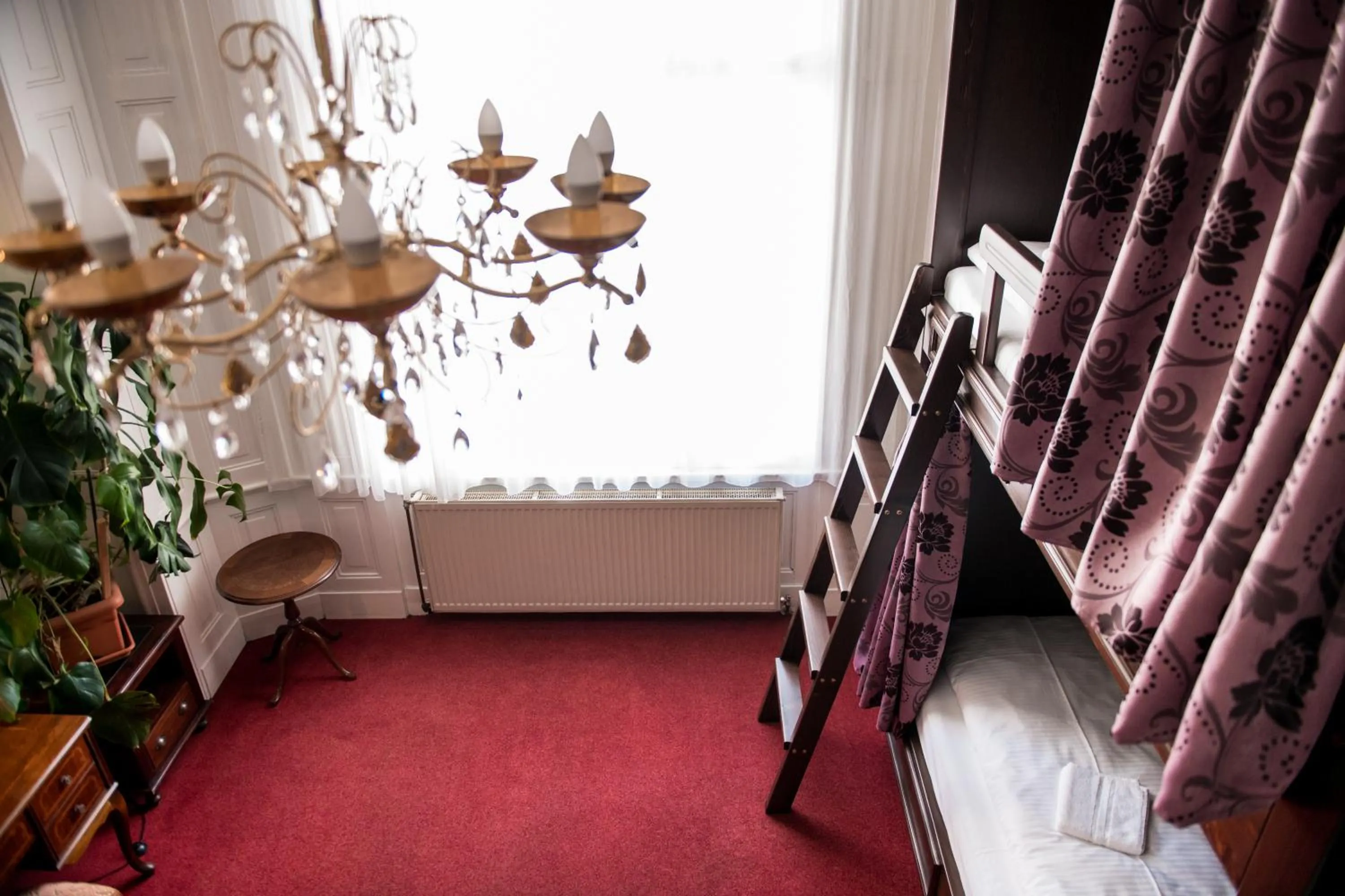 bunk bed in Vienna Boutique - Premium Hostel