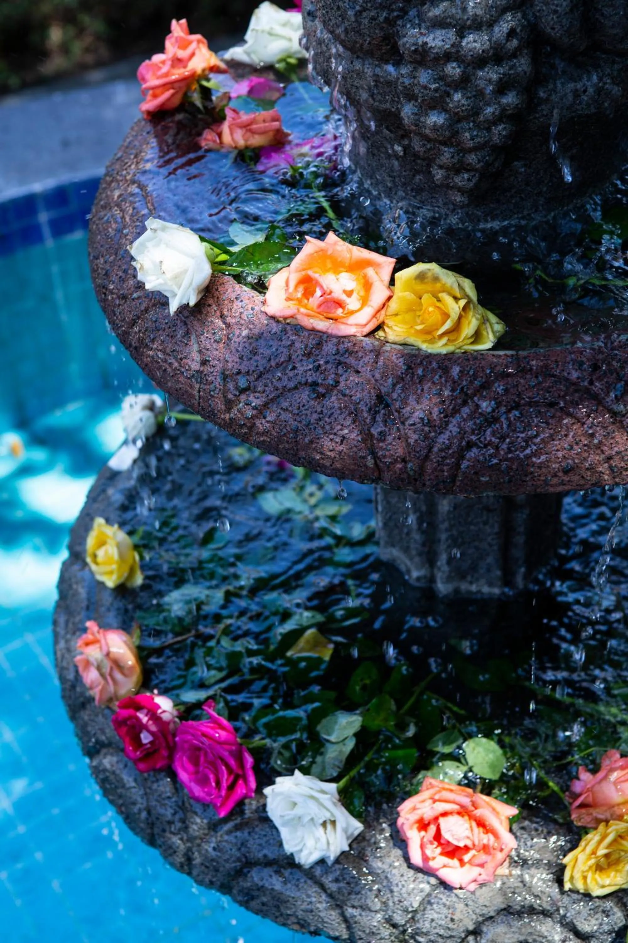 Garden in Hotel Spa Posada Tlaltenango