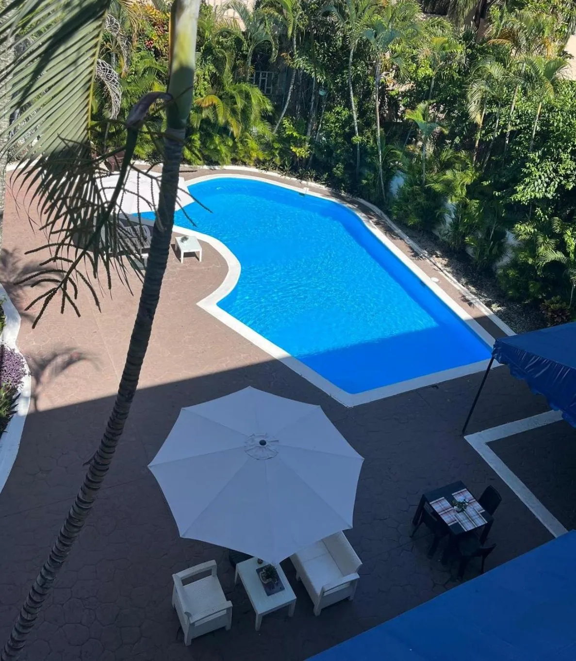 Swimming pool in Calypso Beach Hotel