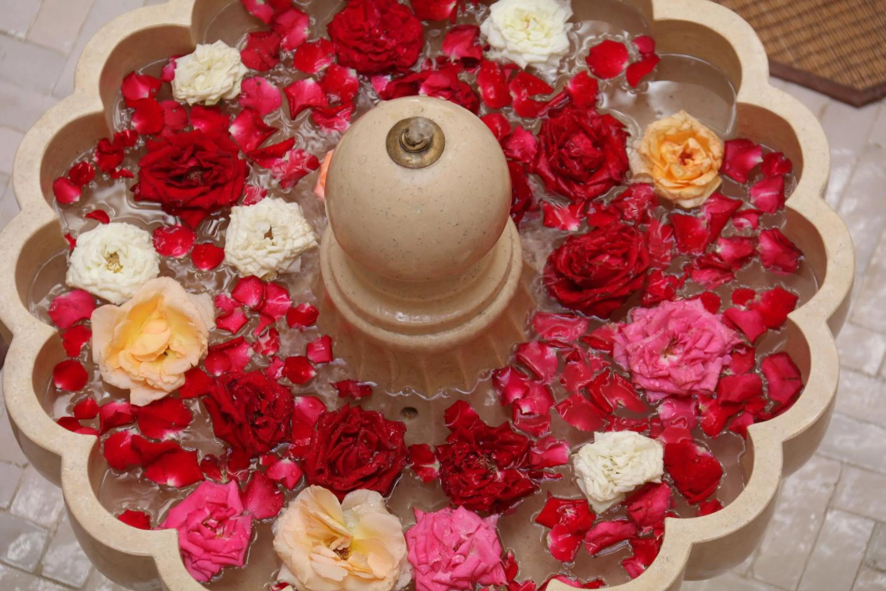 Other in Riad Wazani Square & SPA