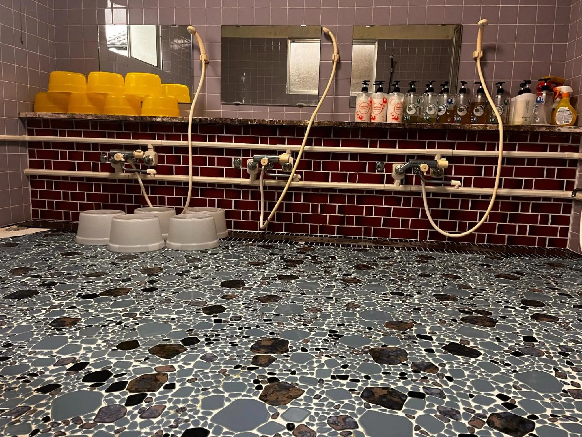 Shower in Biwako Makino Hifumikan