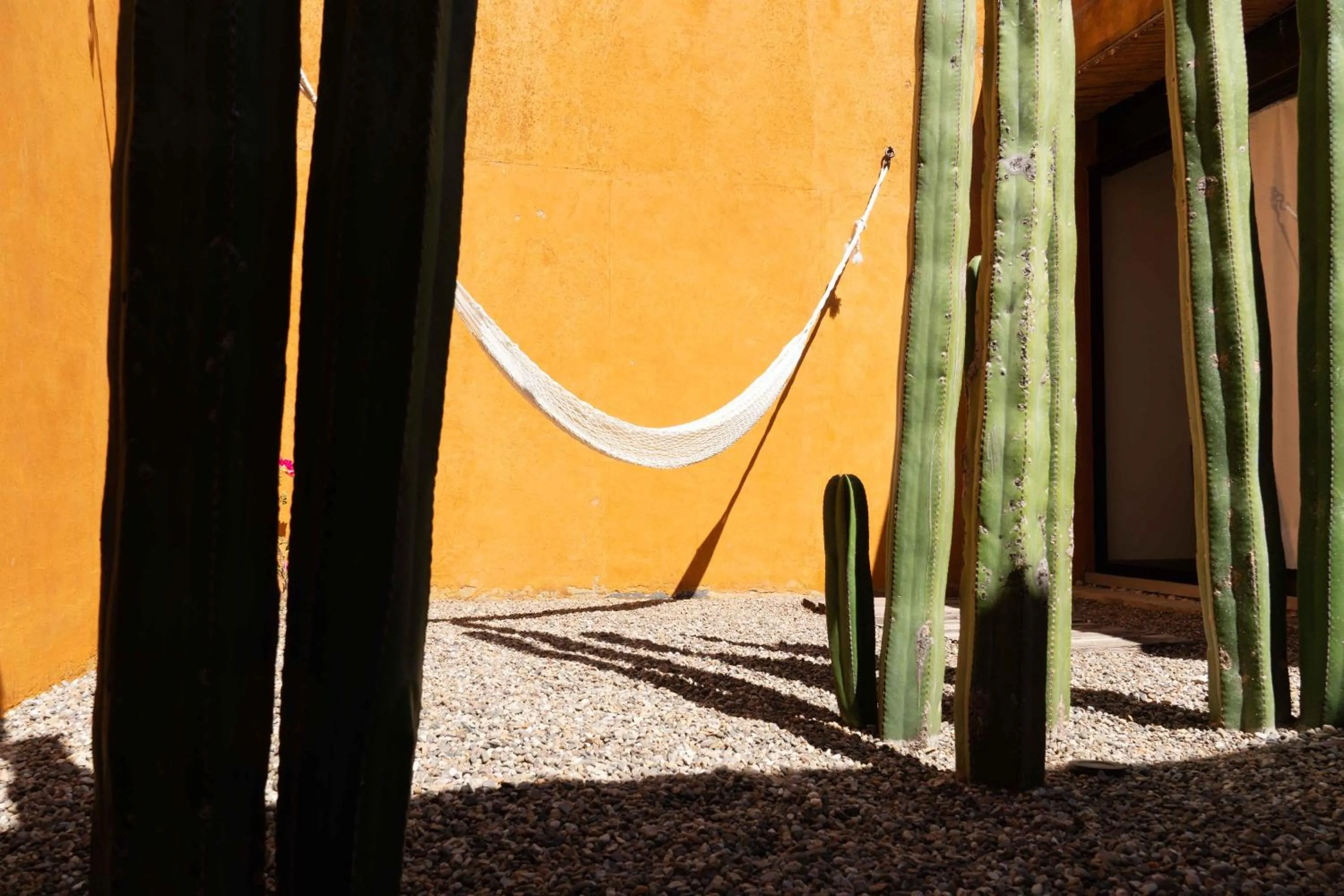 Day in Hotel Cosijo - San Jeronimo Tlacochahuaya