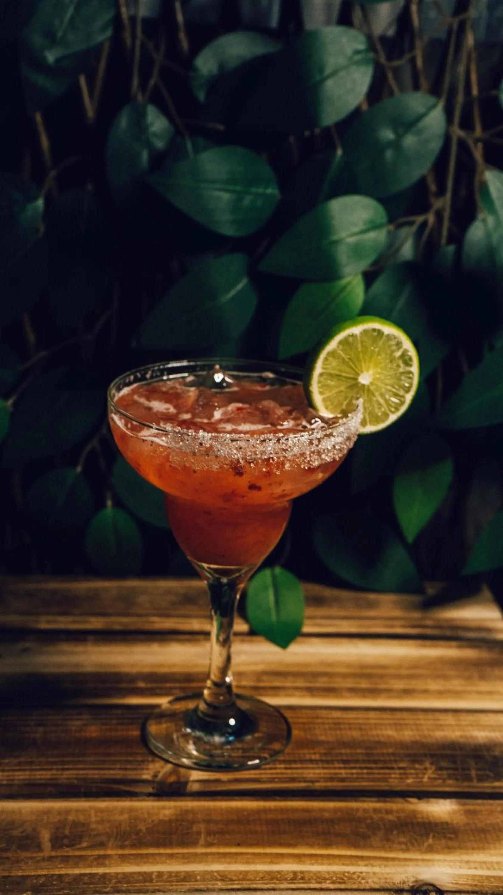 Lounge or bar in Hotel Casa Amelia