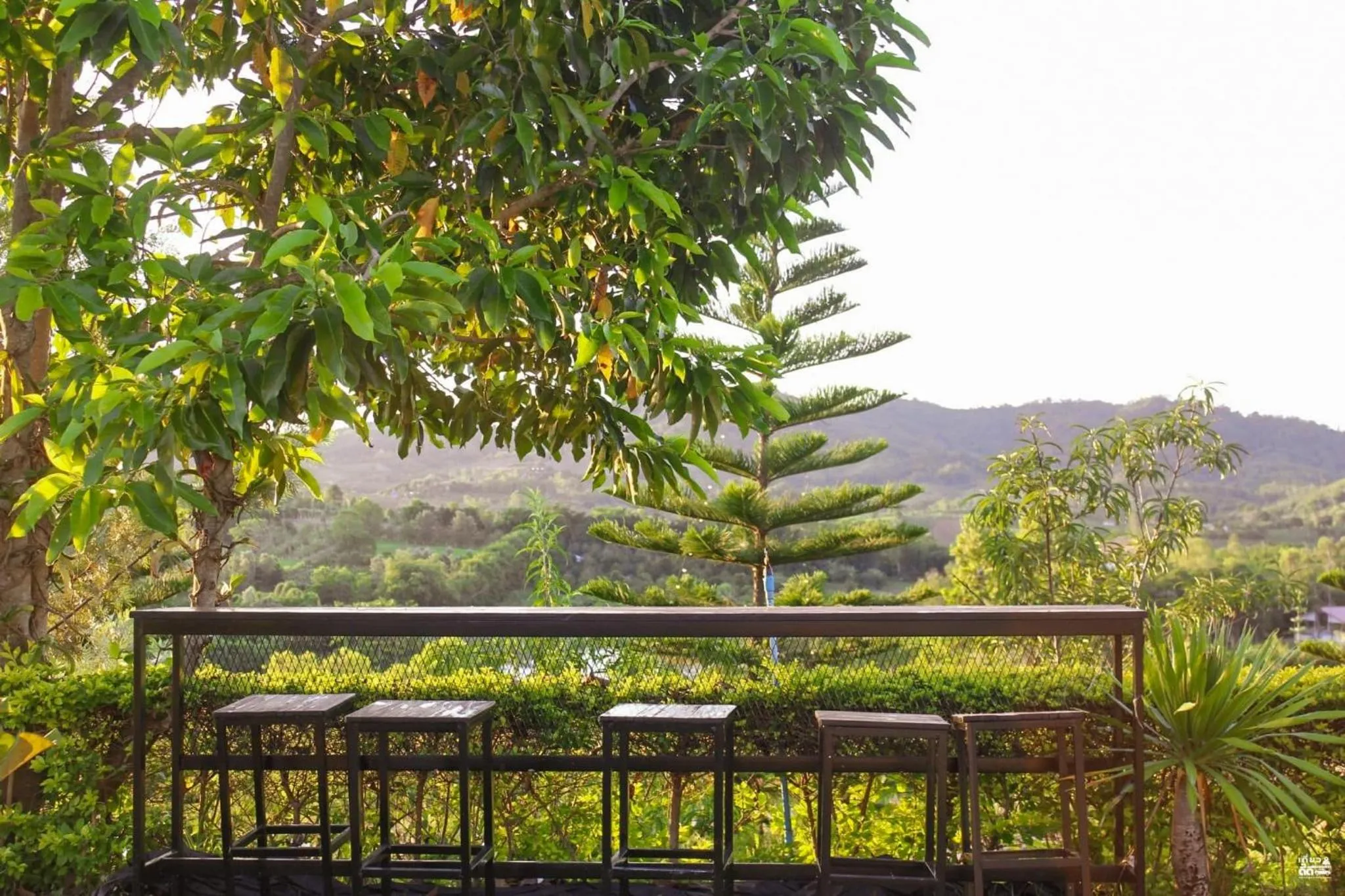 Garden view in Phuyafahsai The Resort Khao Kho