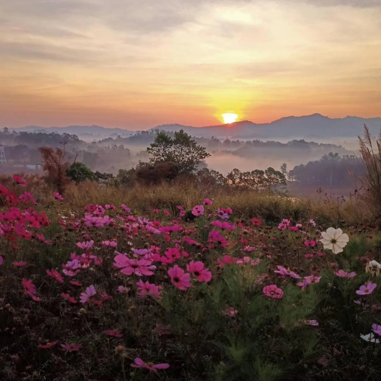 View (from property/room) in Phuyafahsai The Resort Khao Kho