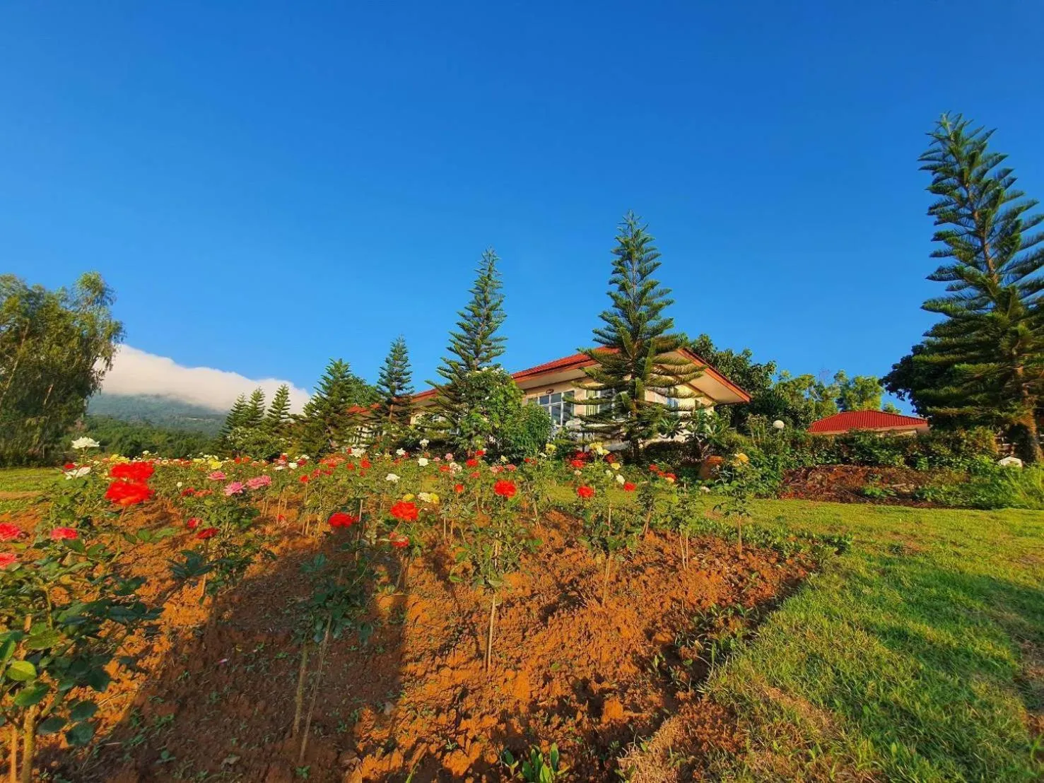 Communal lounge/ TV room in Phuyafahsai The Resort Khao Kho