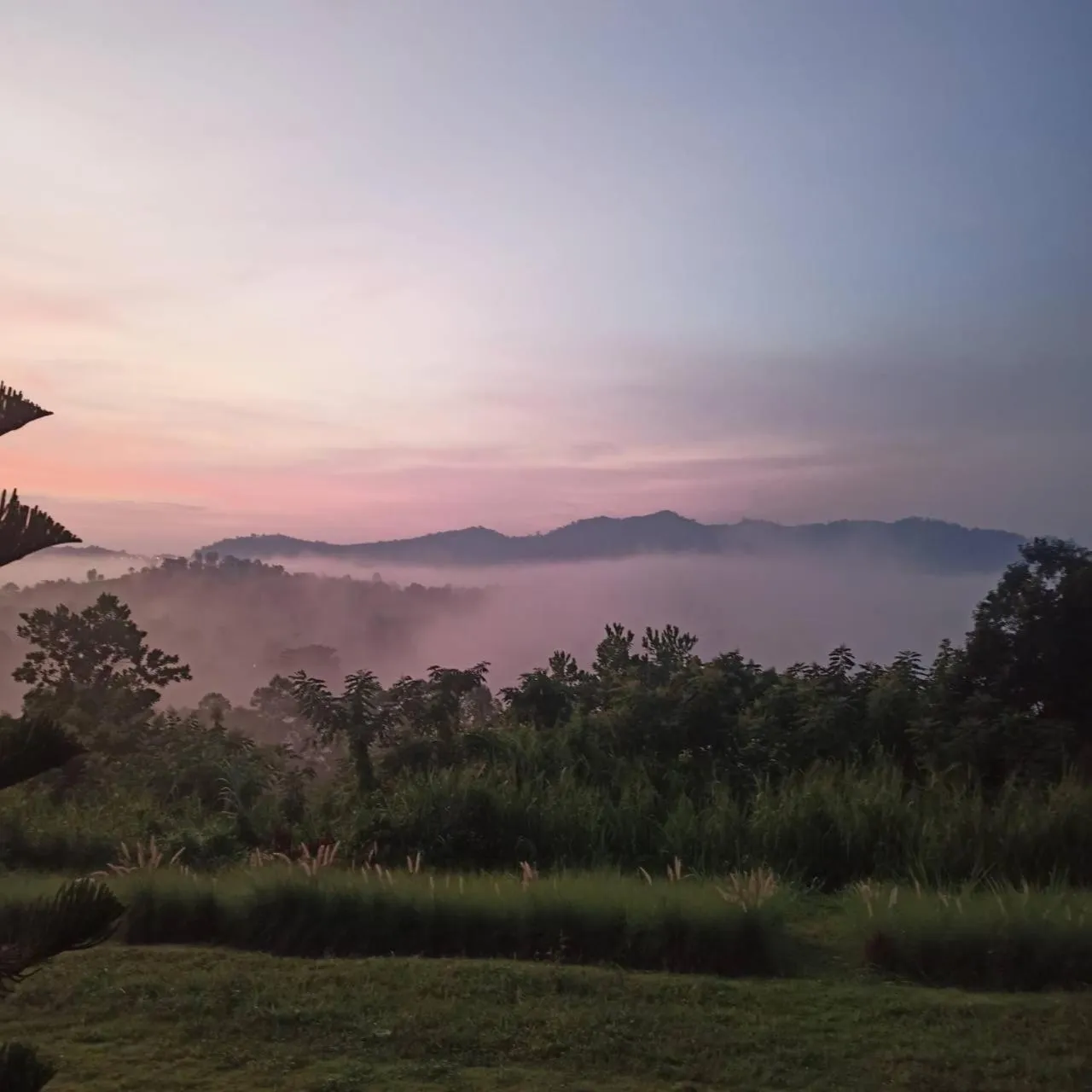 View (from property/room) in Phuyafahsai The Resort Khao Kho