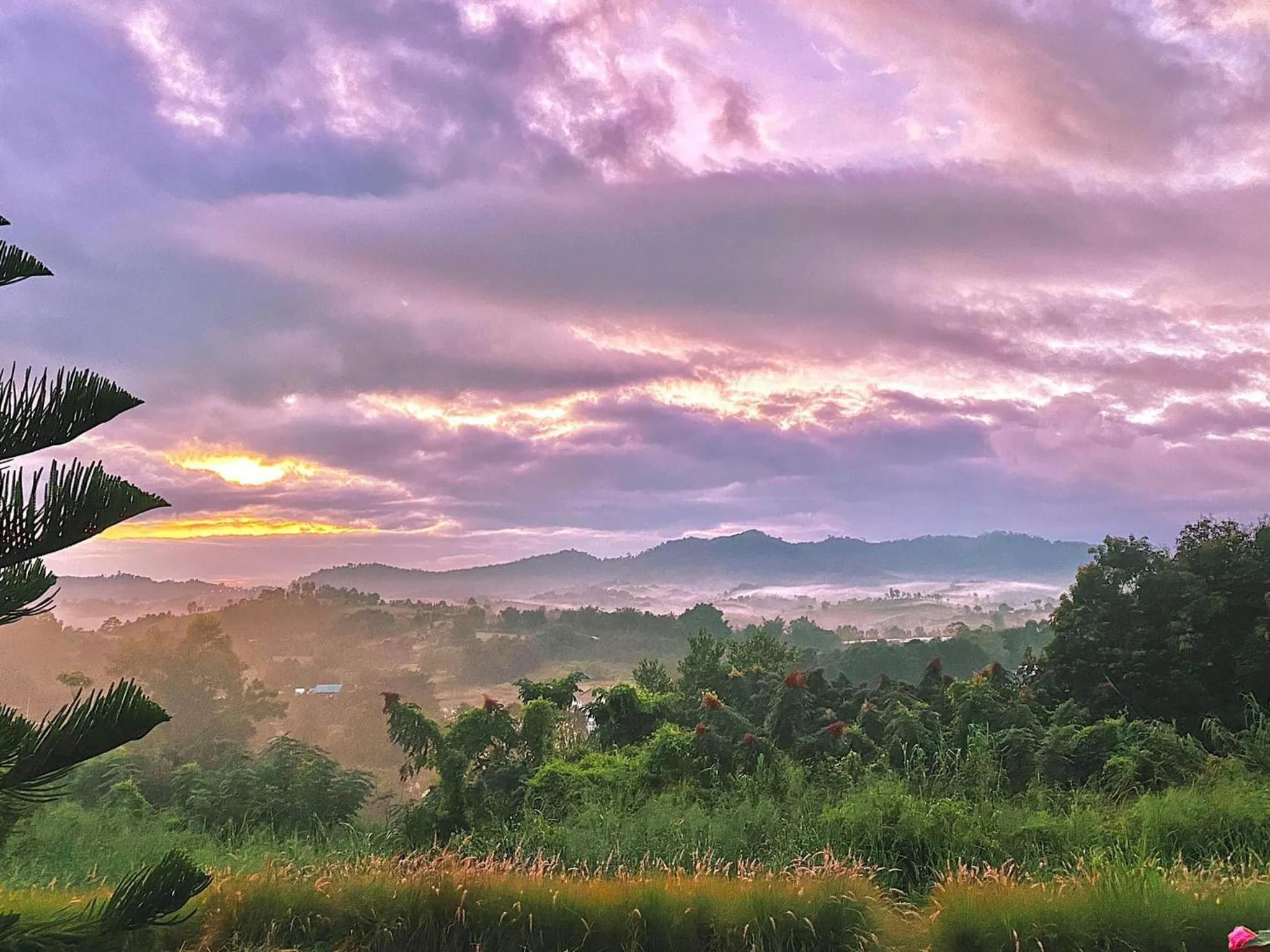 View (from property/room) in Phuyafahsai The Resort Khao Kho