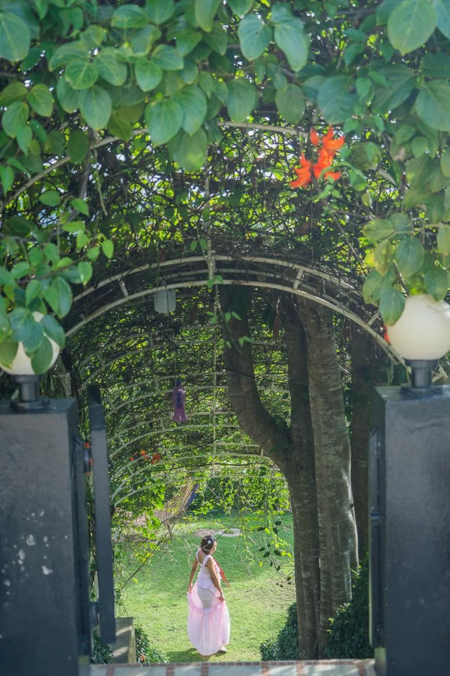 Natural landscape in Phuyafahsai The Resort Khao Kho