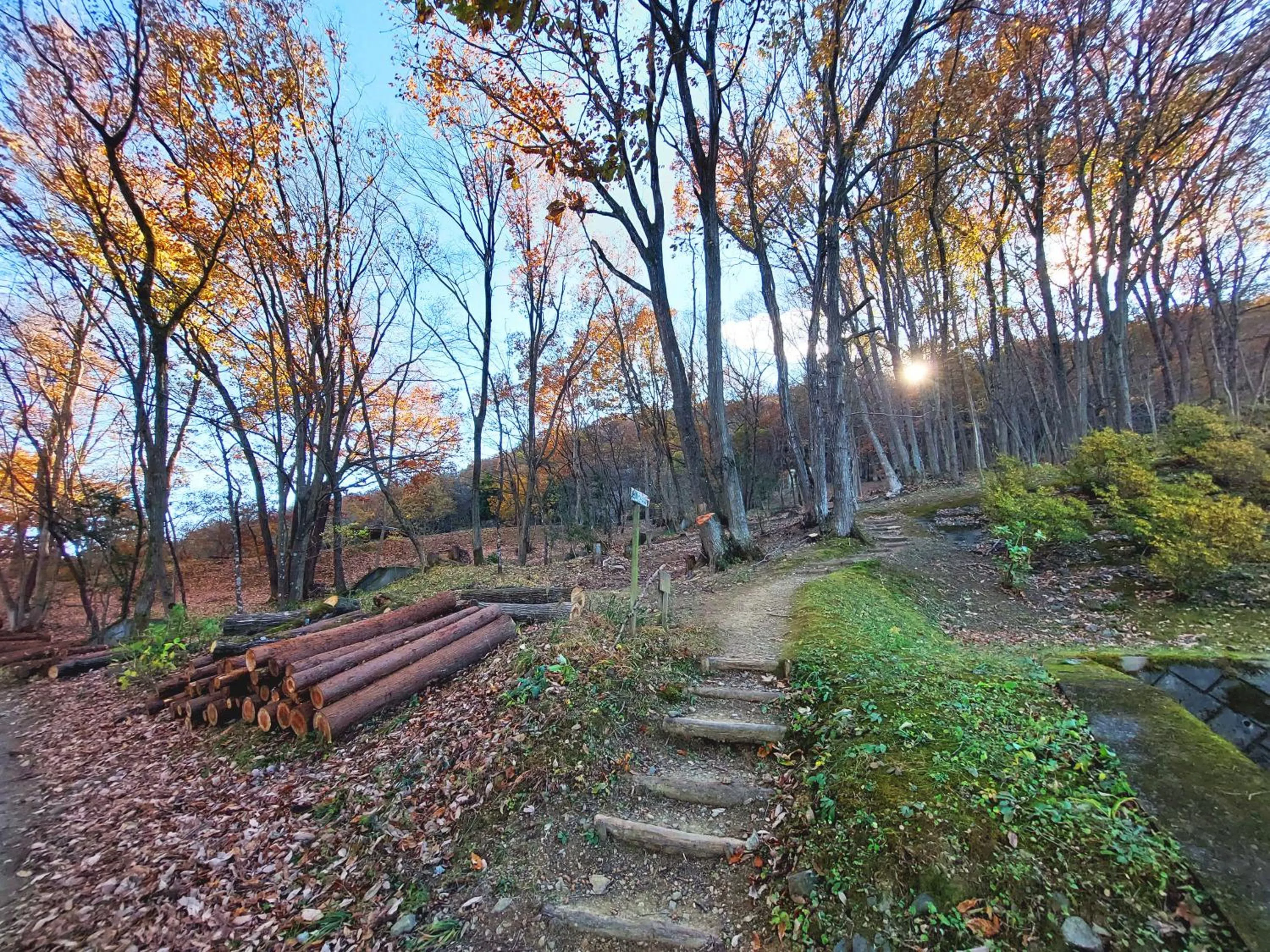 Day in Ikoi no Mura Heritage Minoyama