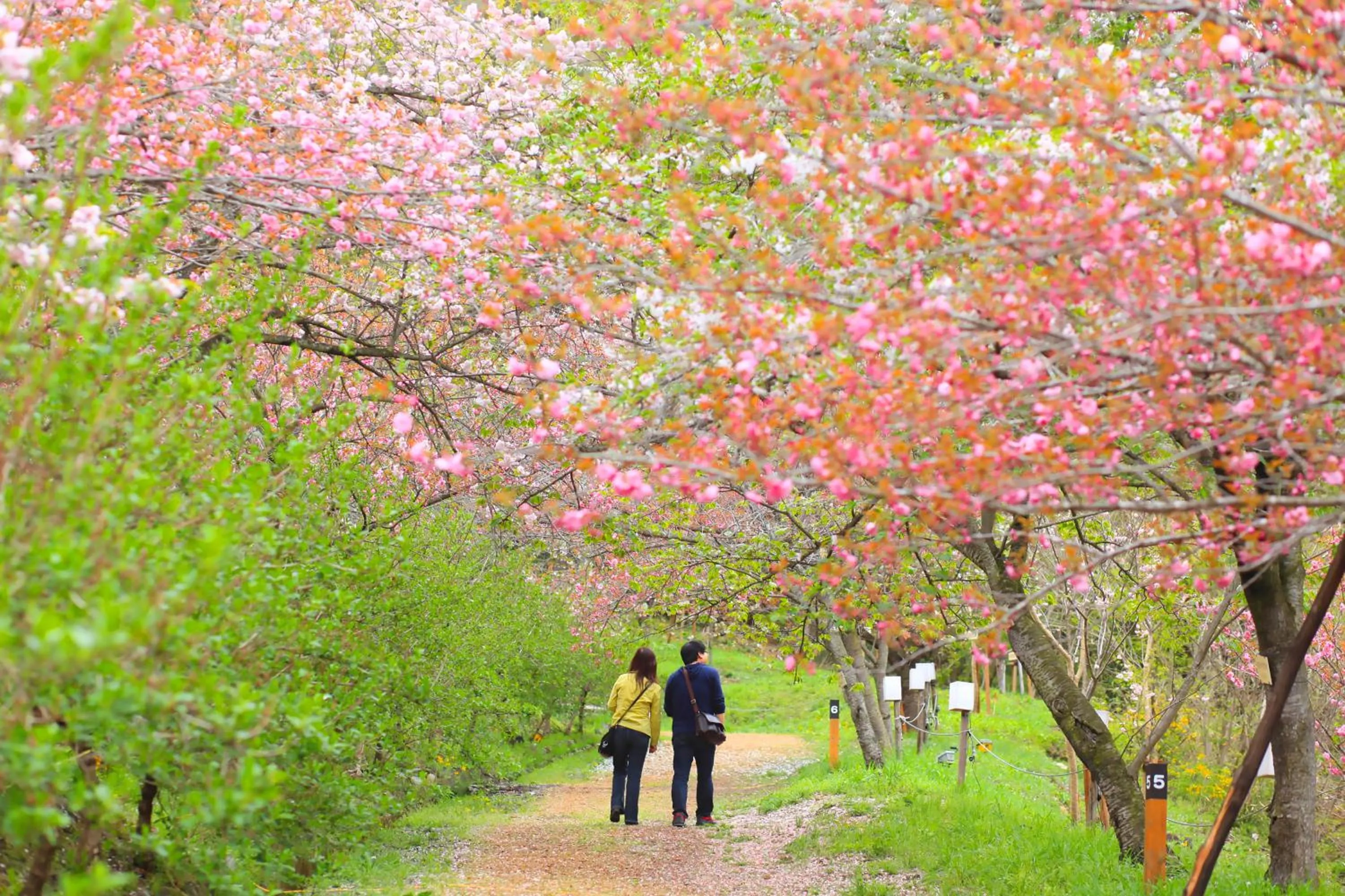 Ikoi no Mura Heritage Minoyama