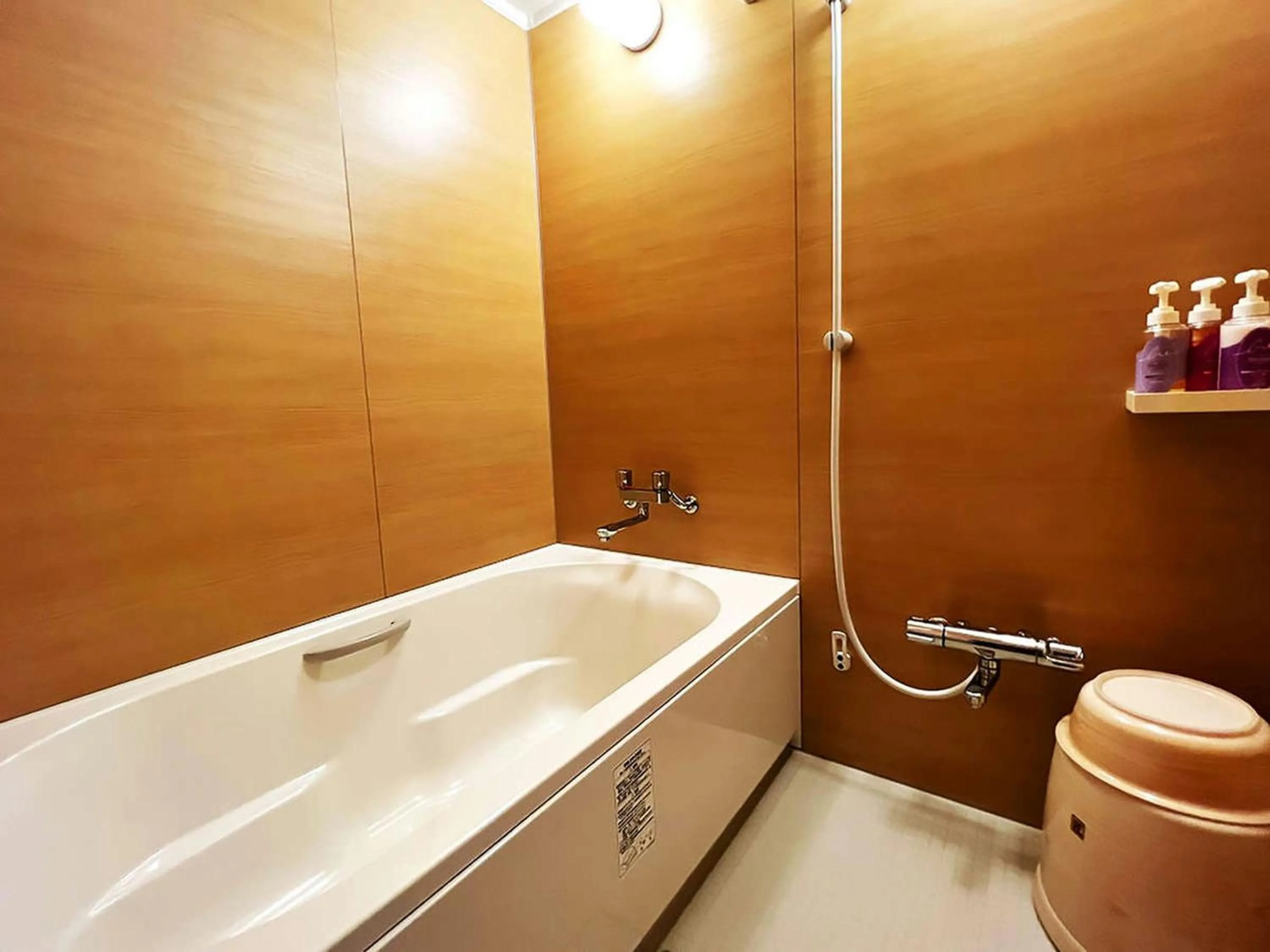 Ikoi no Mura Heritage Minoyama