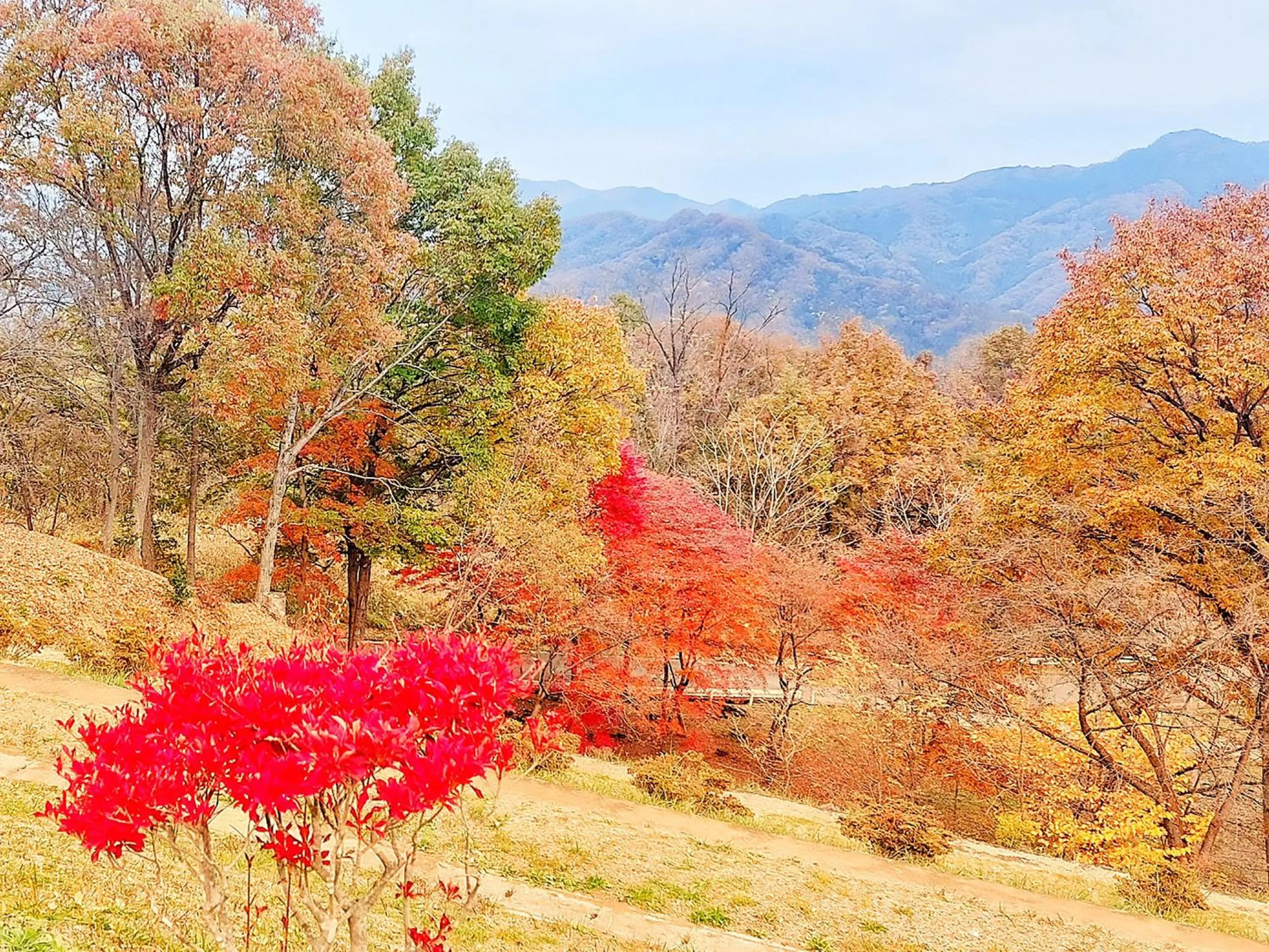 Day in Ikoi no Mura Heritage Minoyama