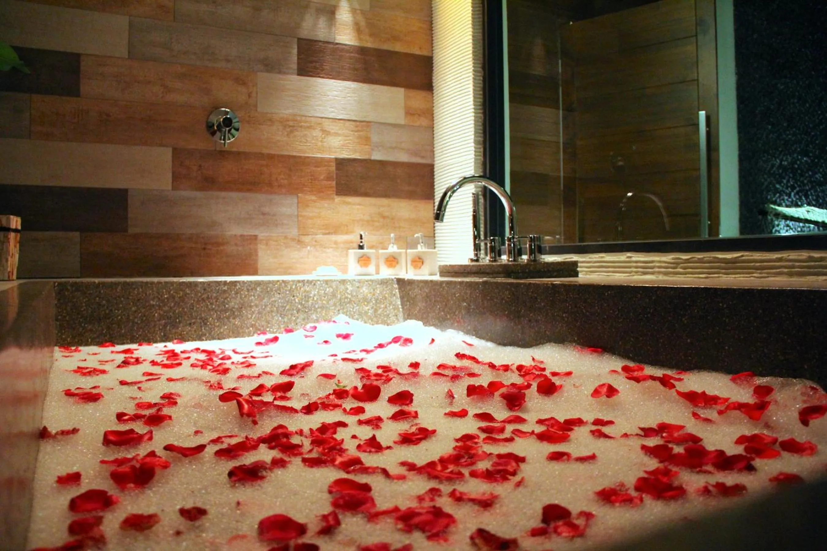 Bath in La Villa Langkawi - Private Pool