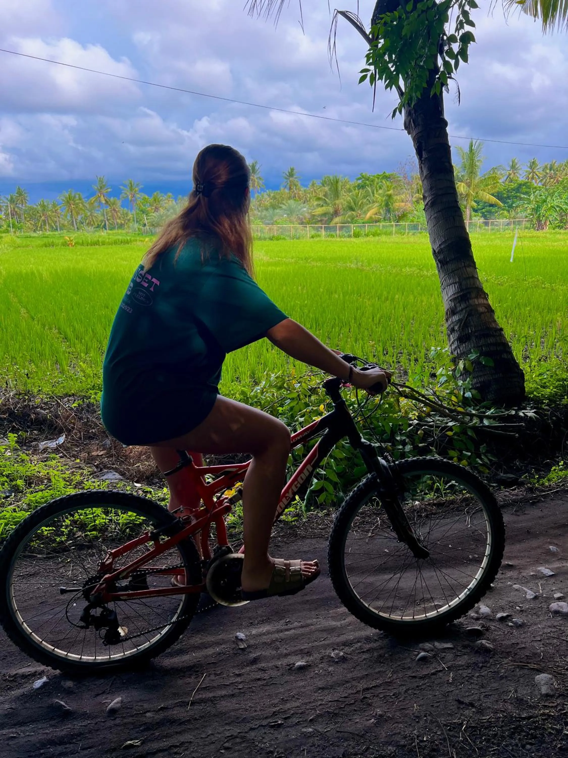 Activities in Rinjani Beach Eco Resort