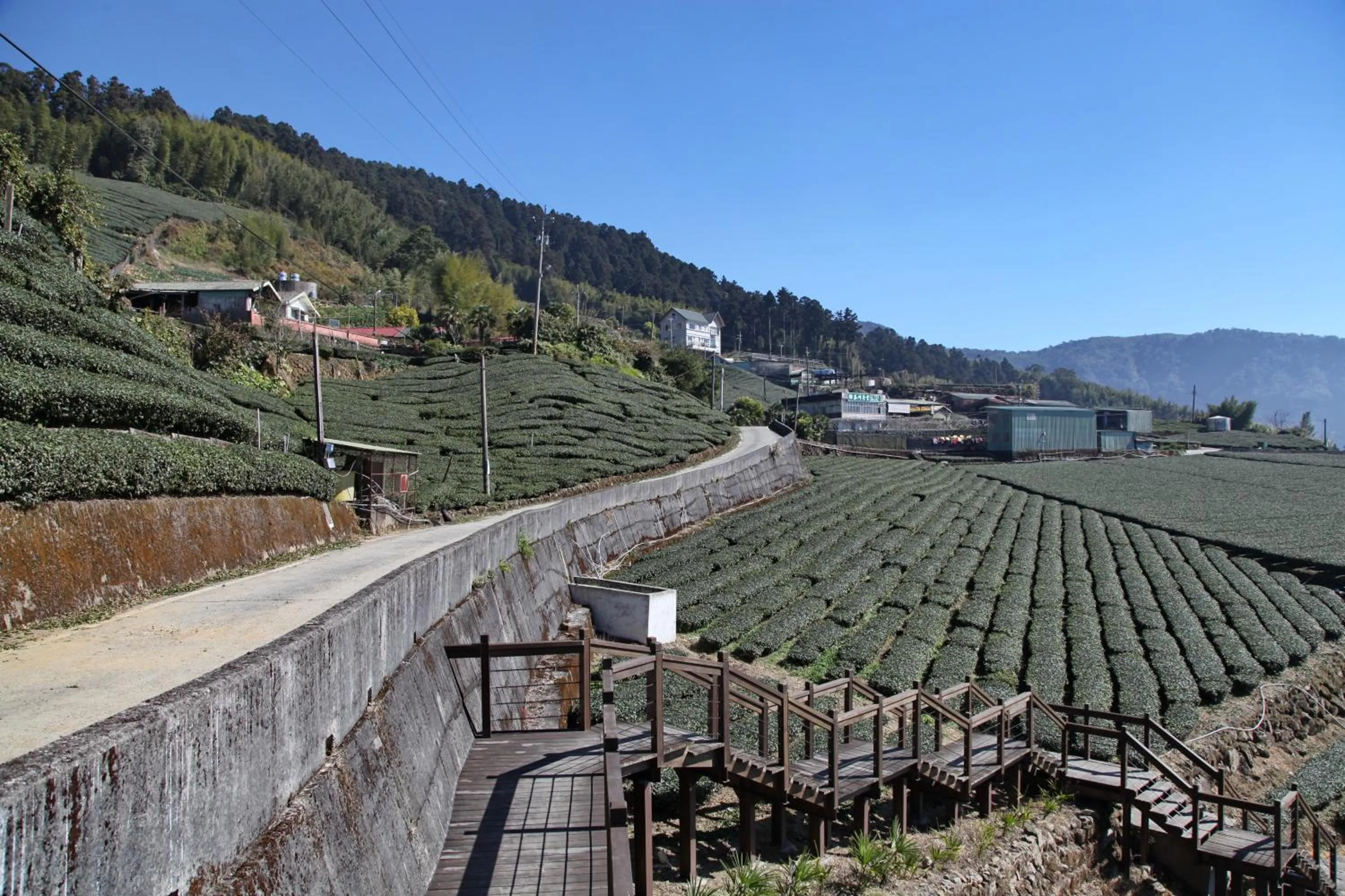 View (from property/room) in Alishan B&B YunMinGi