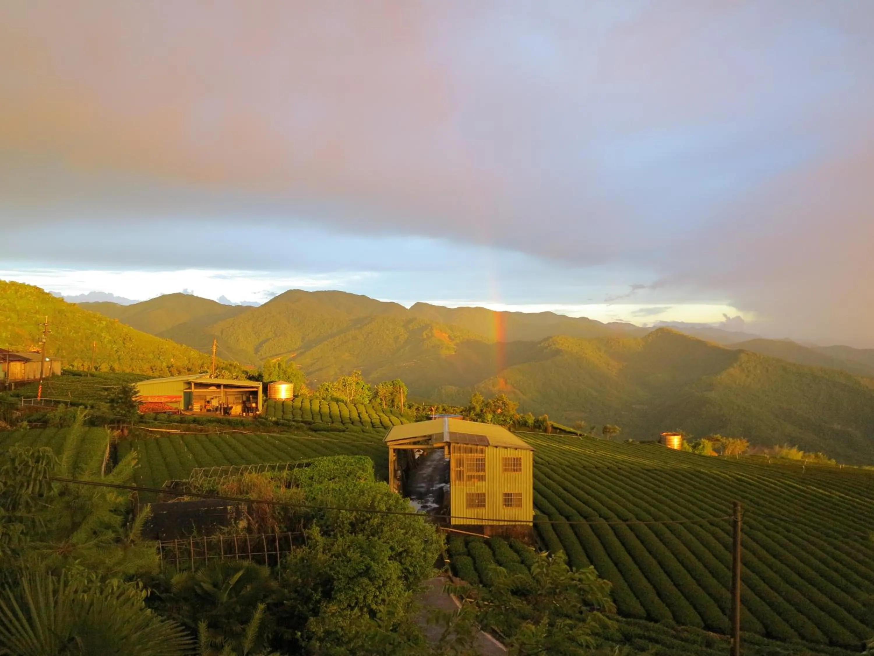 View (from property/room) in Alishan B&B YunMinGi