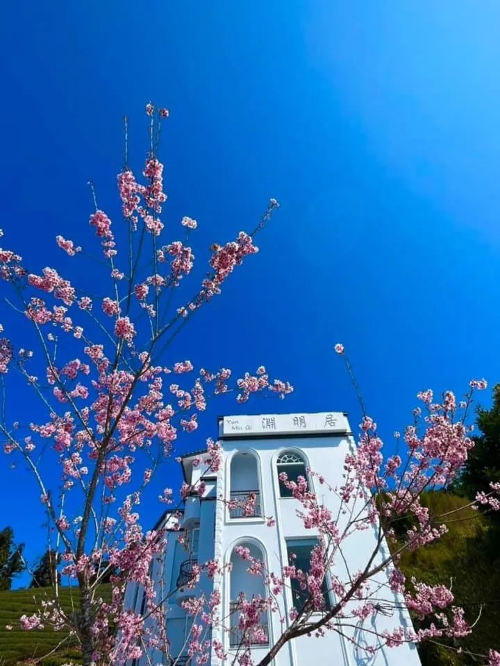 Alishan B&B YunMinGi