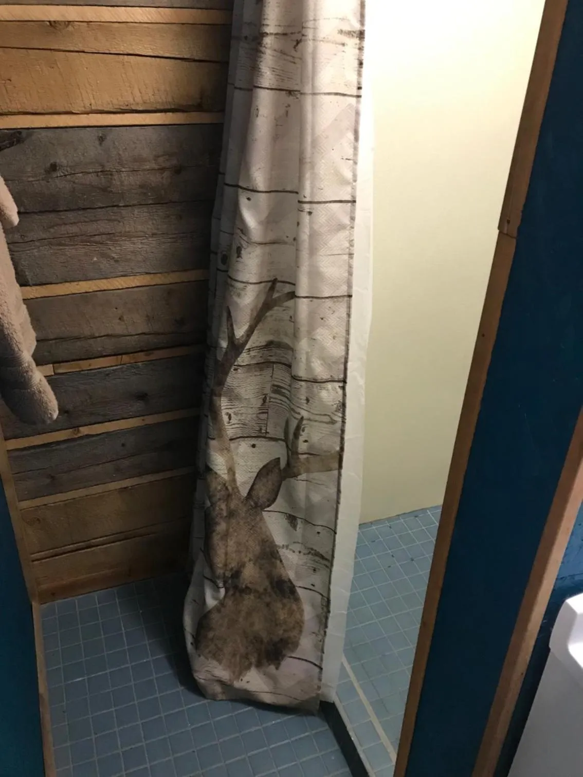 Grandview Cabins & RV Resort