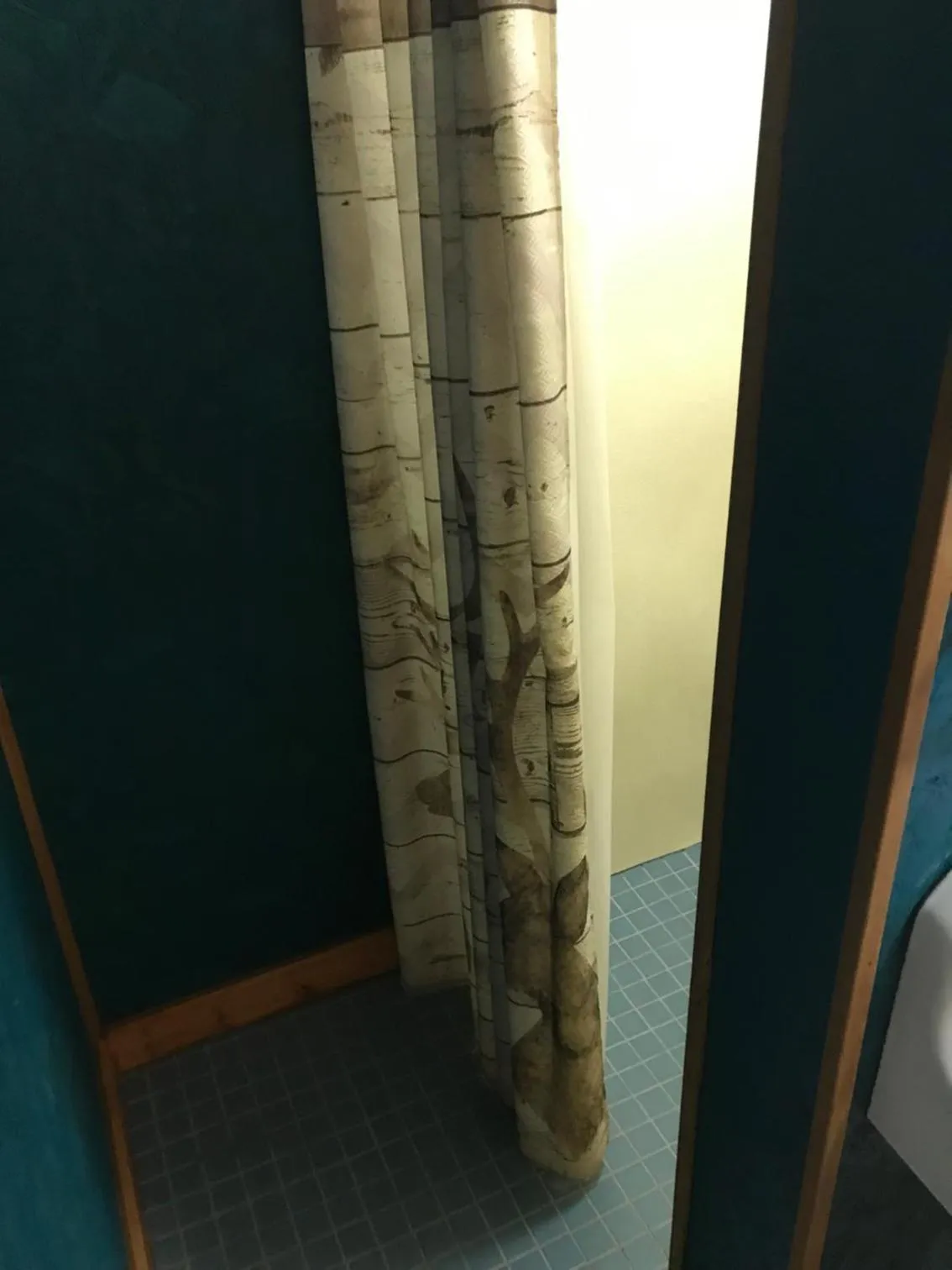 Grandview Cabins & RV Resort